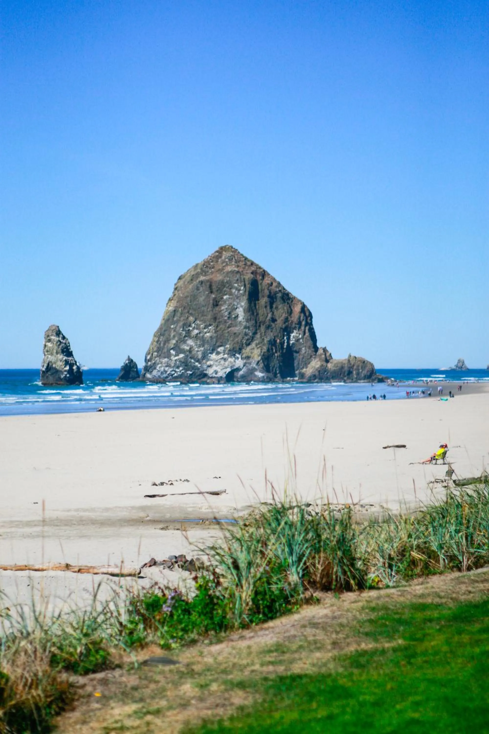 Beach in The Ocean Lodge