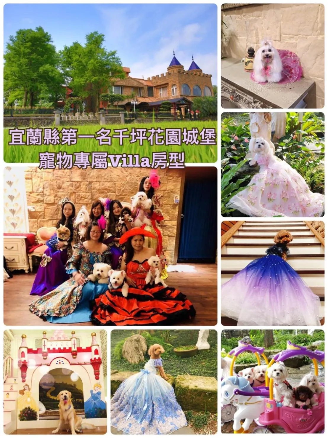 Xin Yuan My Dream Castle