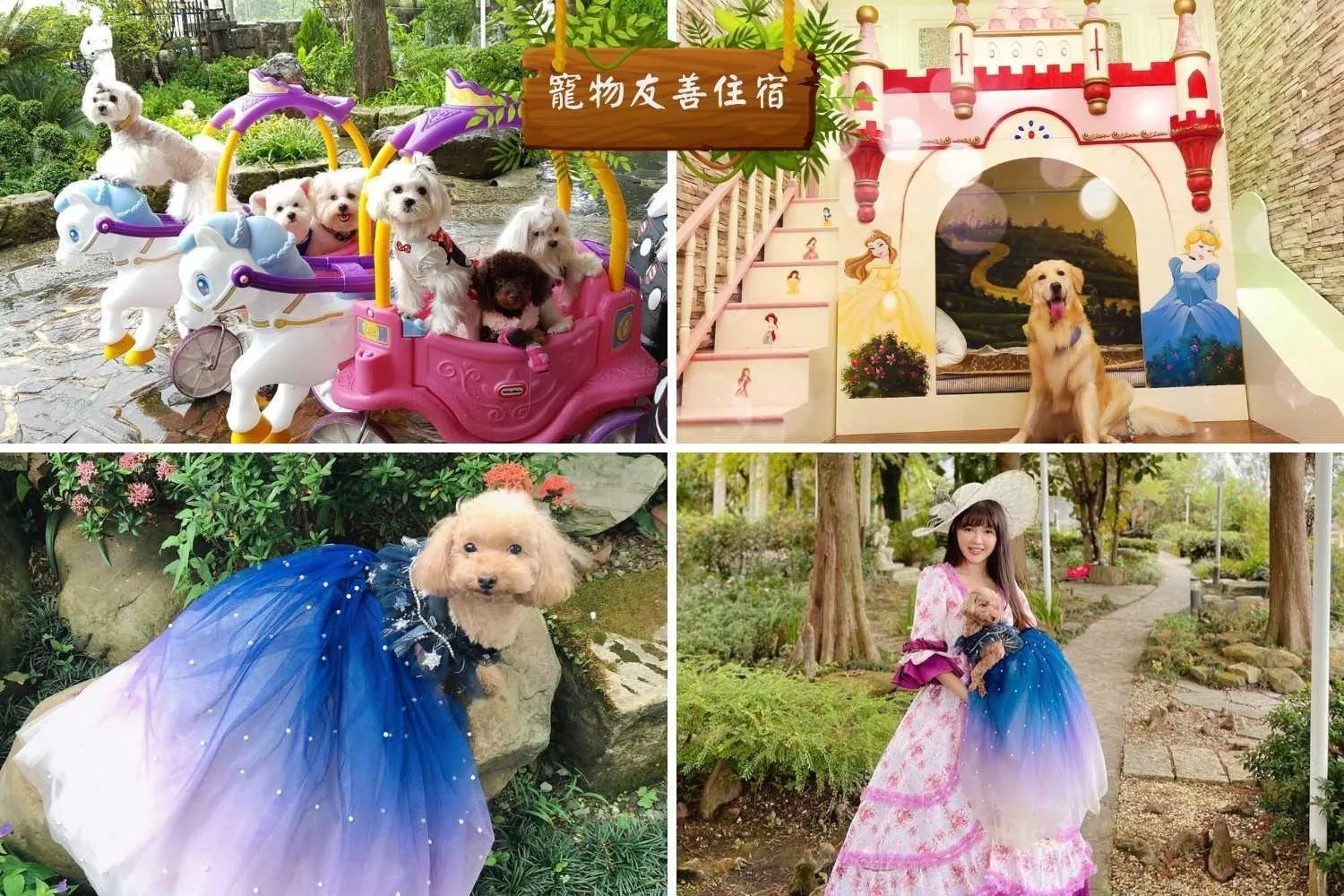 Xin Yuan My Dream Castle