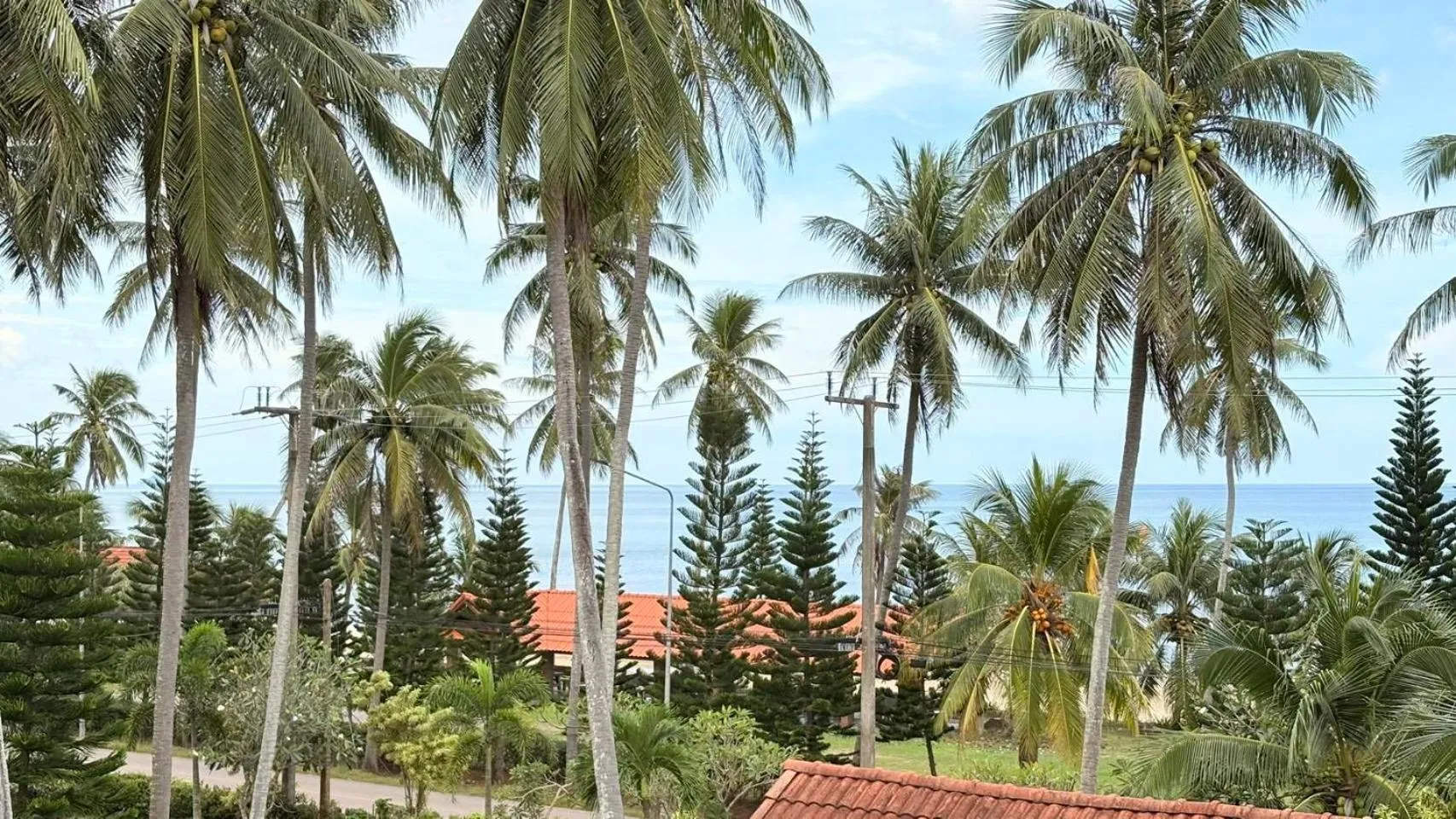 Natural landscape in Talay Sai @ Thung Wua Laen