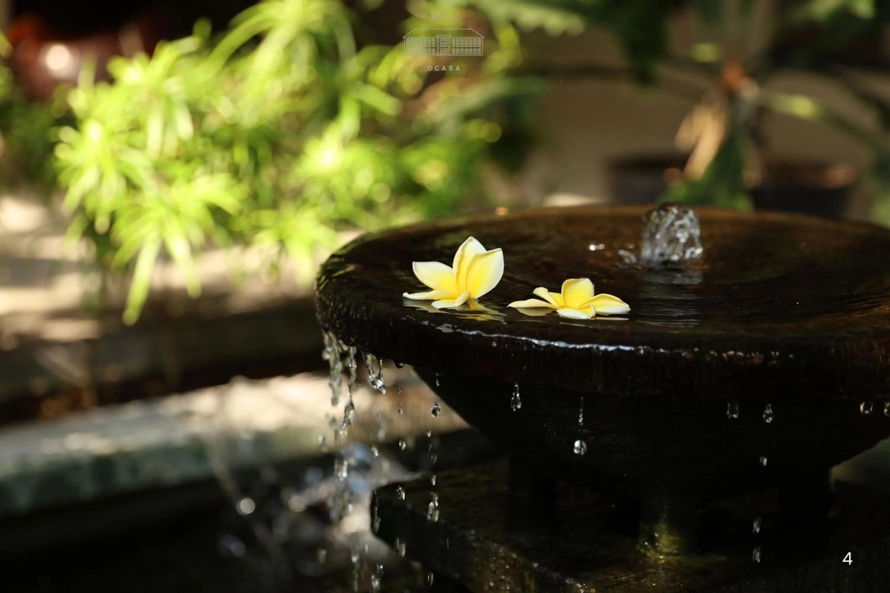 Garden view in Bale Ocasa by Behomy