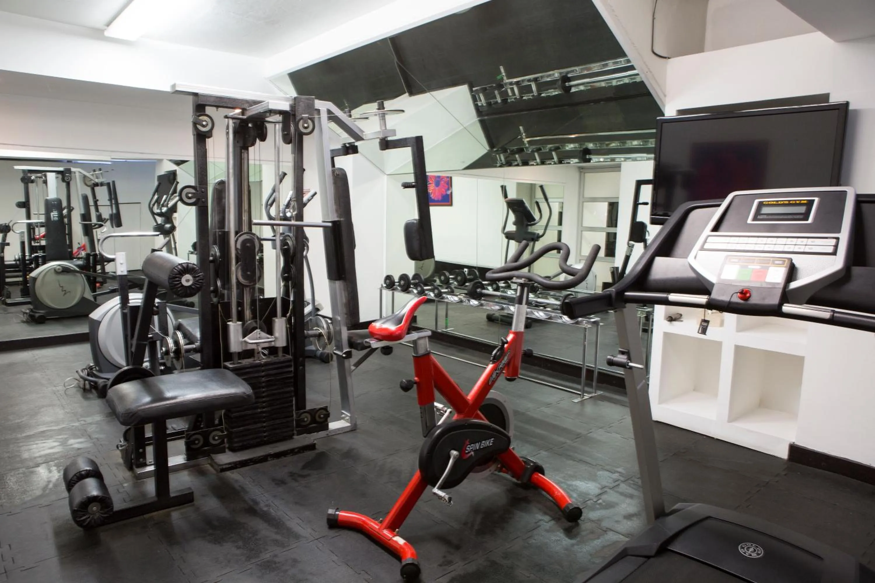 Fitness centre/facilities in Suites Giorgio