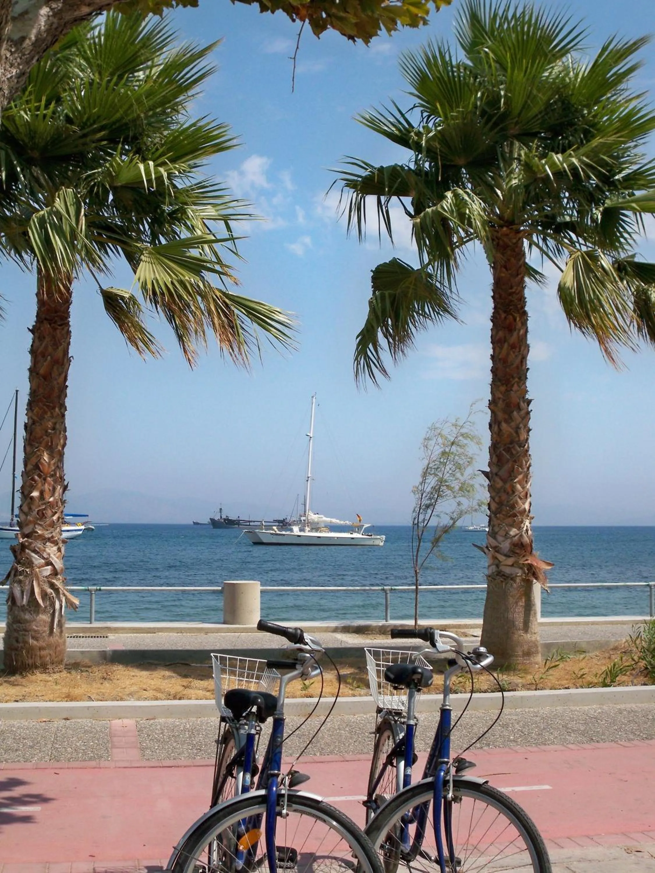 Area and facilities in Aegeon Hotel - Adults Only