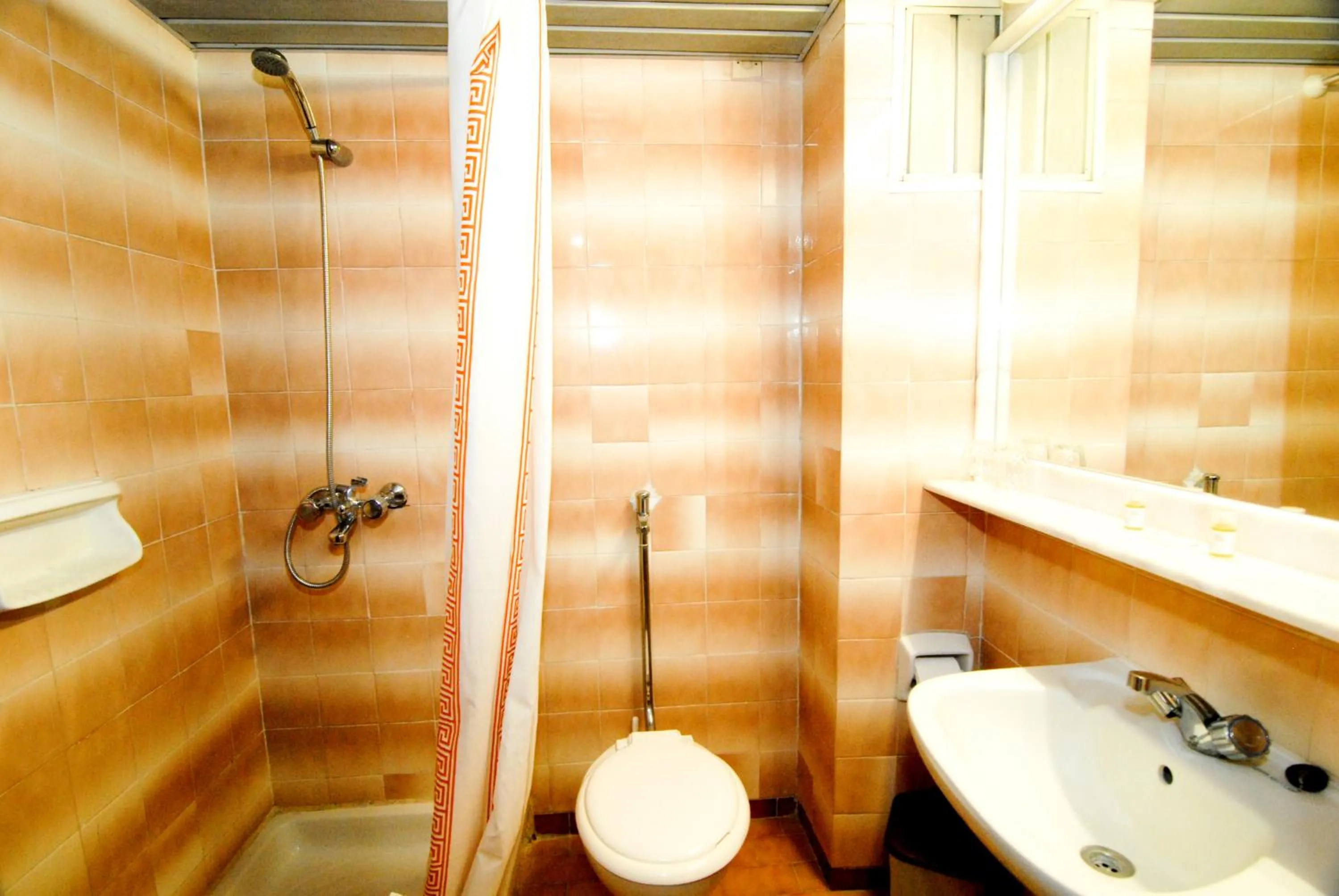 Toilet in Aegeon Hotel - Adults Only