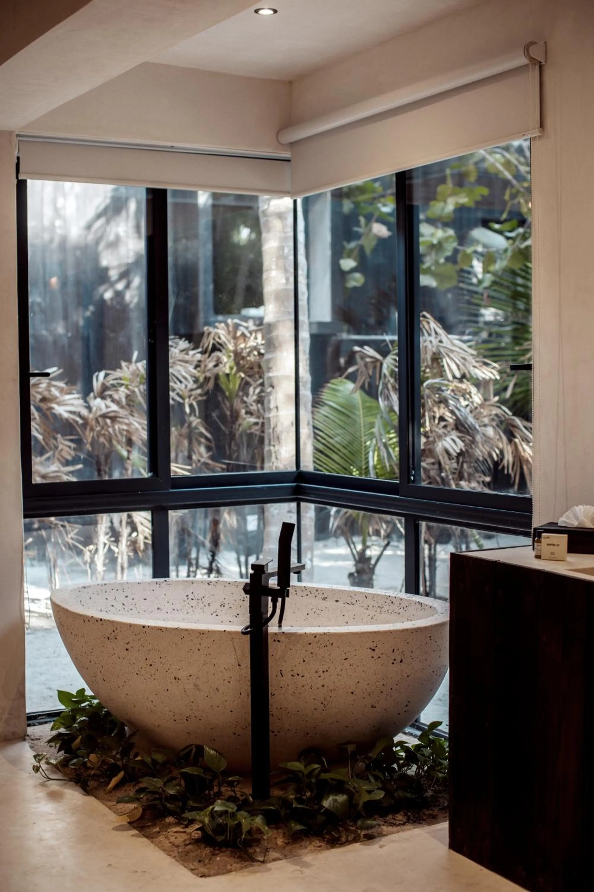 Natural landscape in UMi Tulum