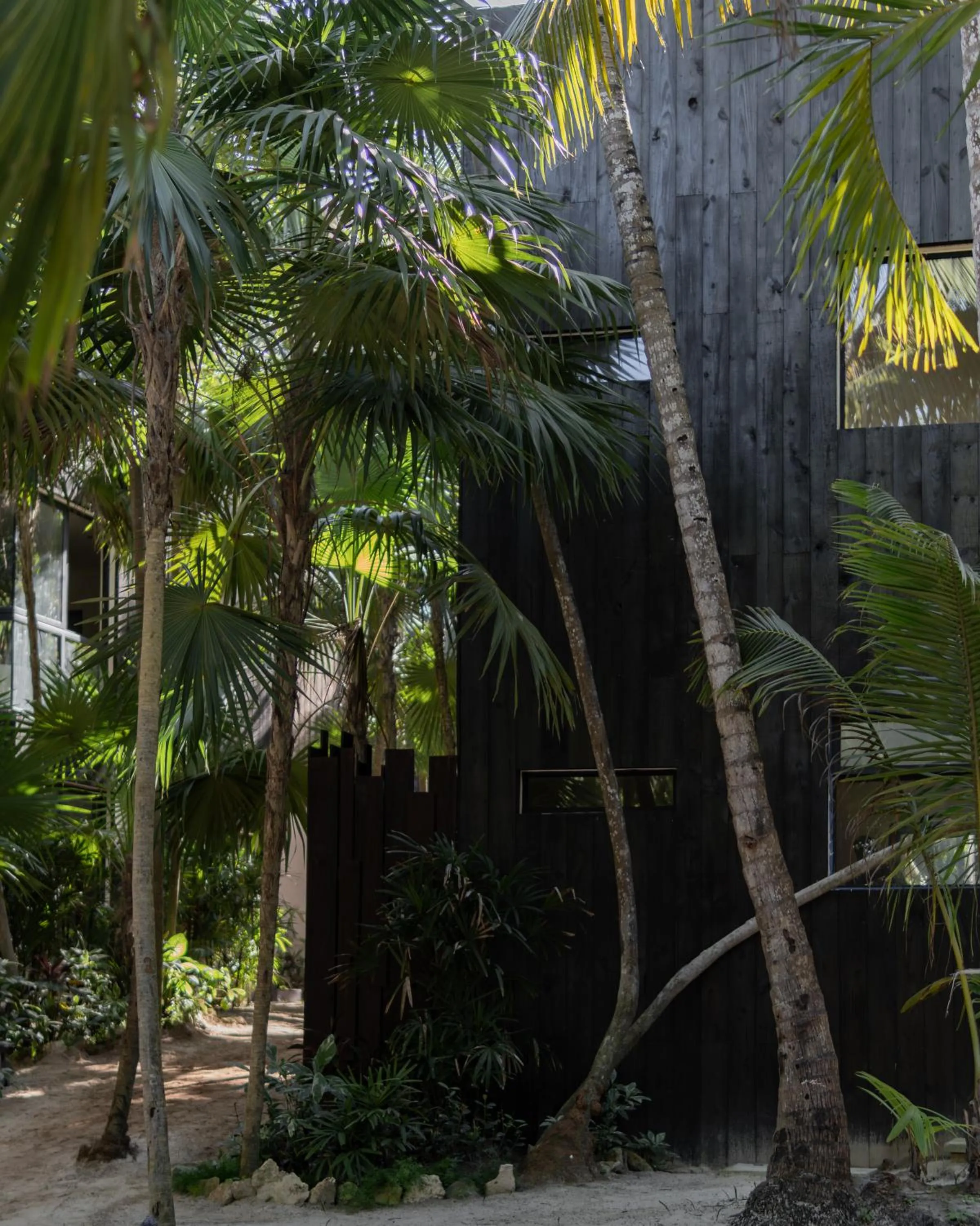 Property building in UMi Tulum