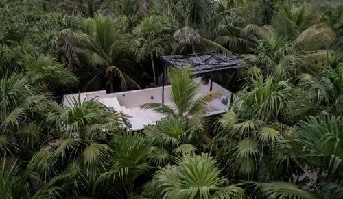 UMi Tulum