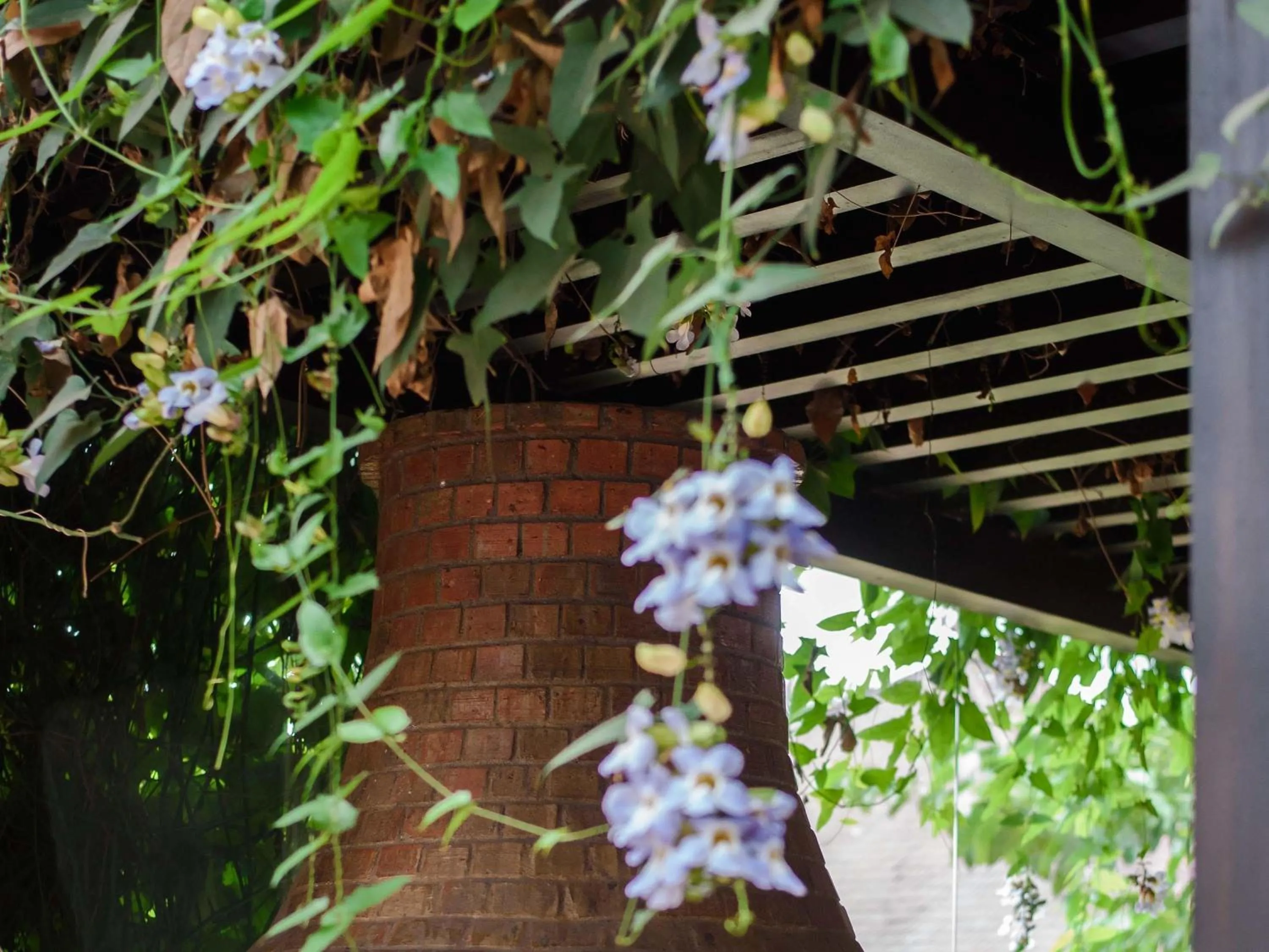 Restaurant/places to eat in Novotel Goa Resort & Spa Candolim