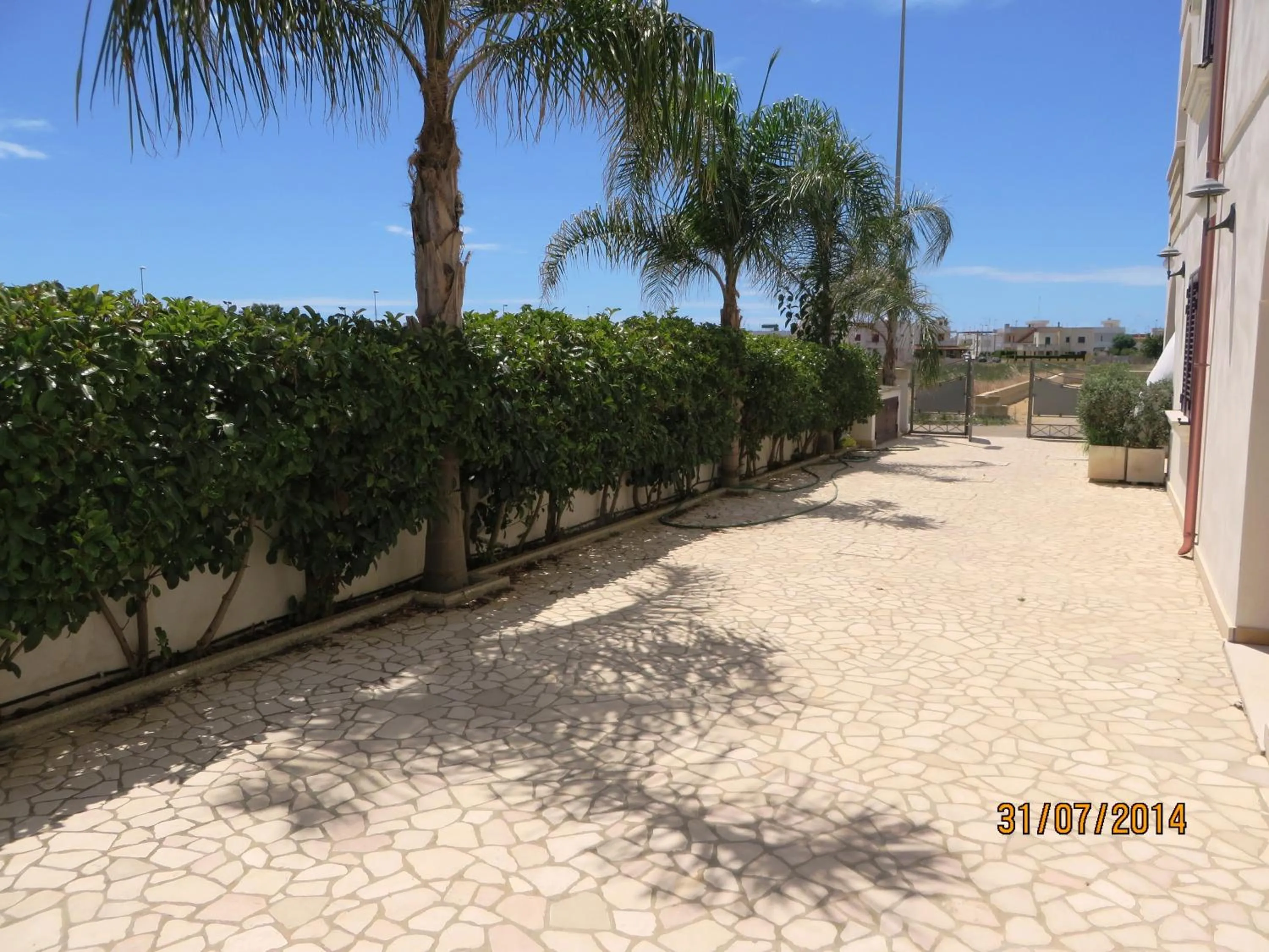 Day in Residence Giglio