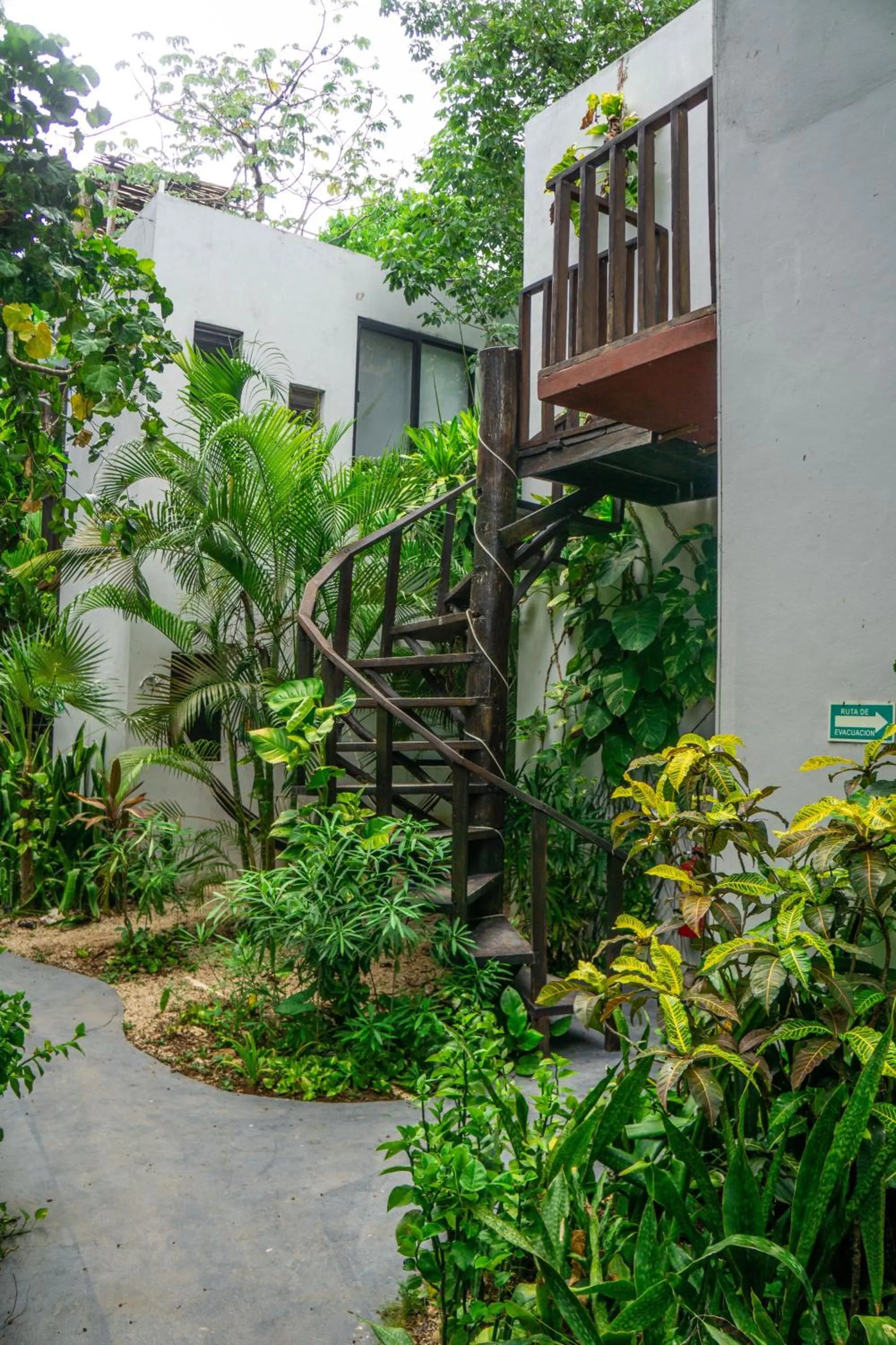 Patio in Maui Hostels Tulum