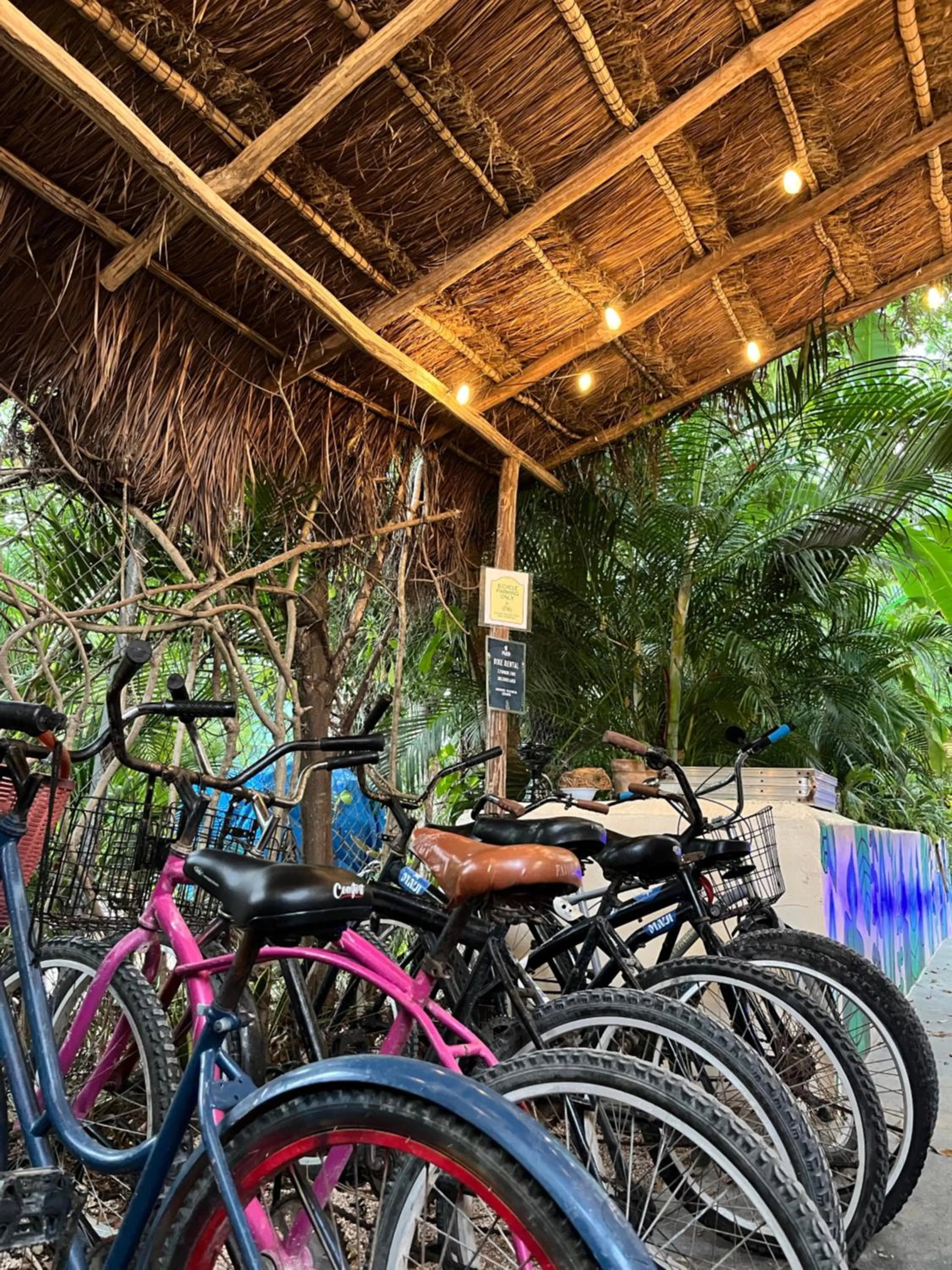 Parking in Maui Hostels Tulum