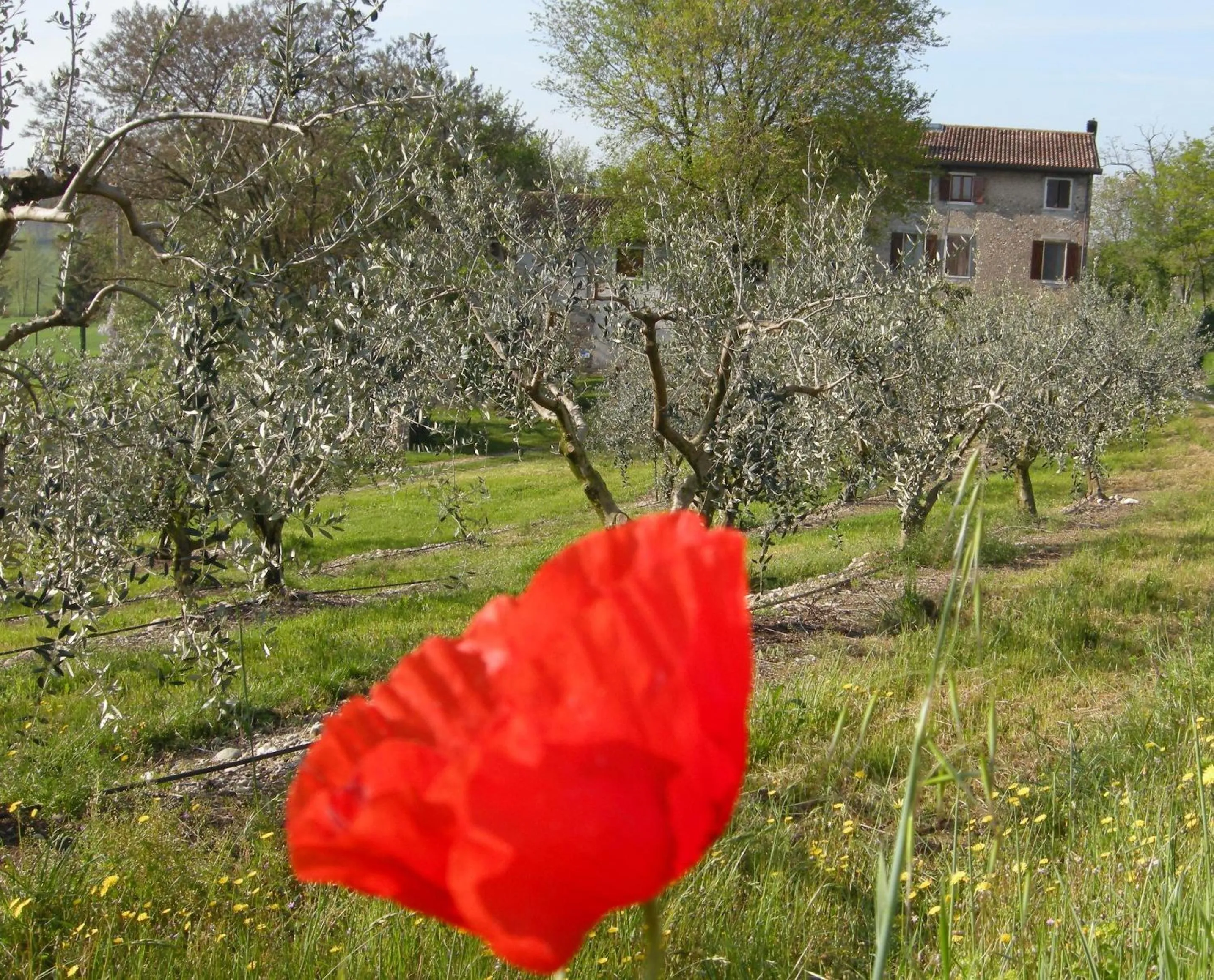 Property building in I Vigneti Bed & Breakfast