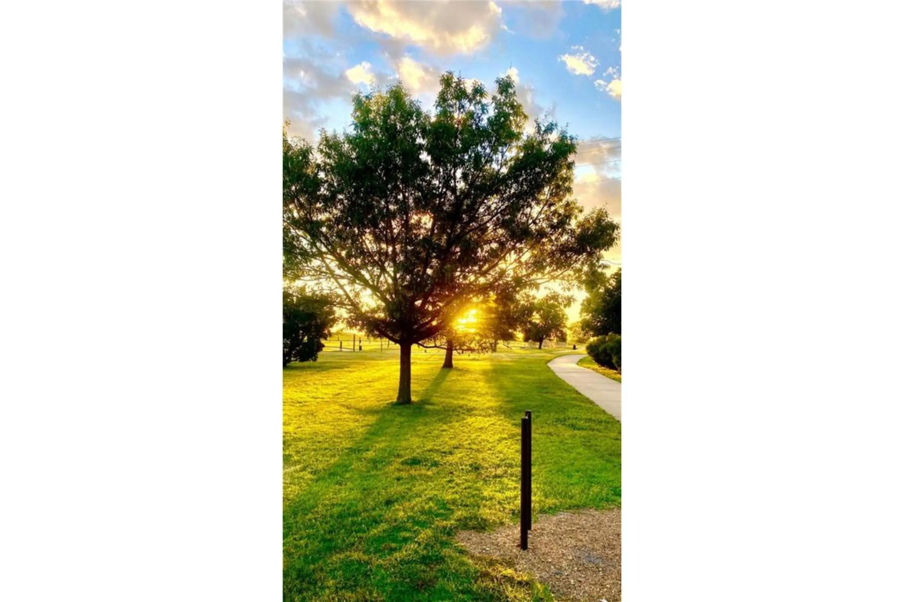 Garden in Park View Inn & Suites, Hoisington
