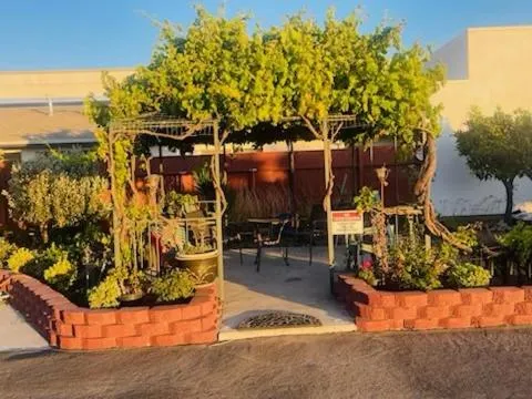 Garden in Travel Inn