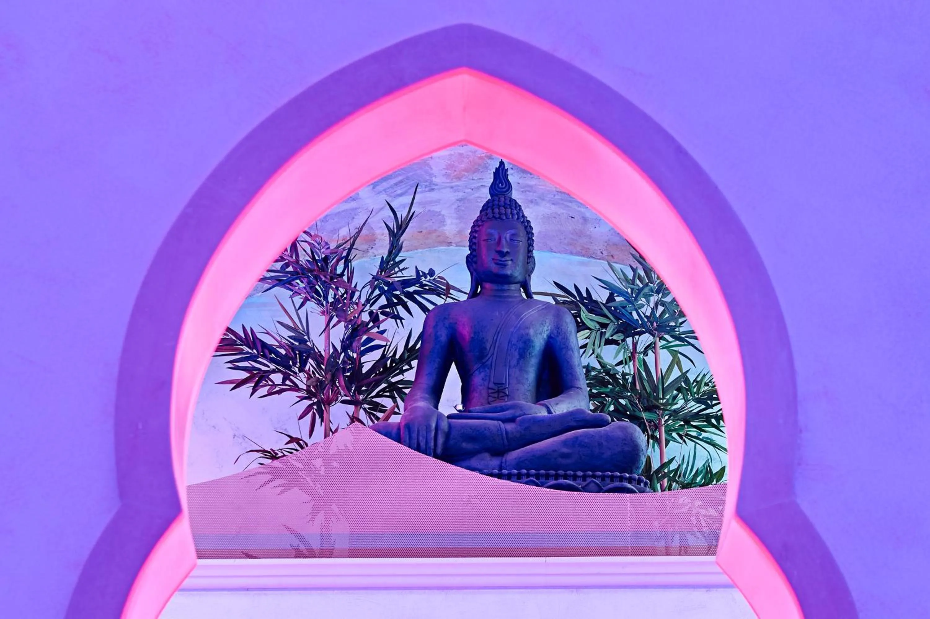 Spa and wellness centre/facilities in Aleksandr