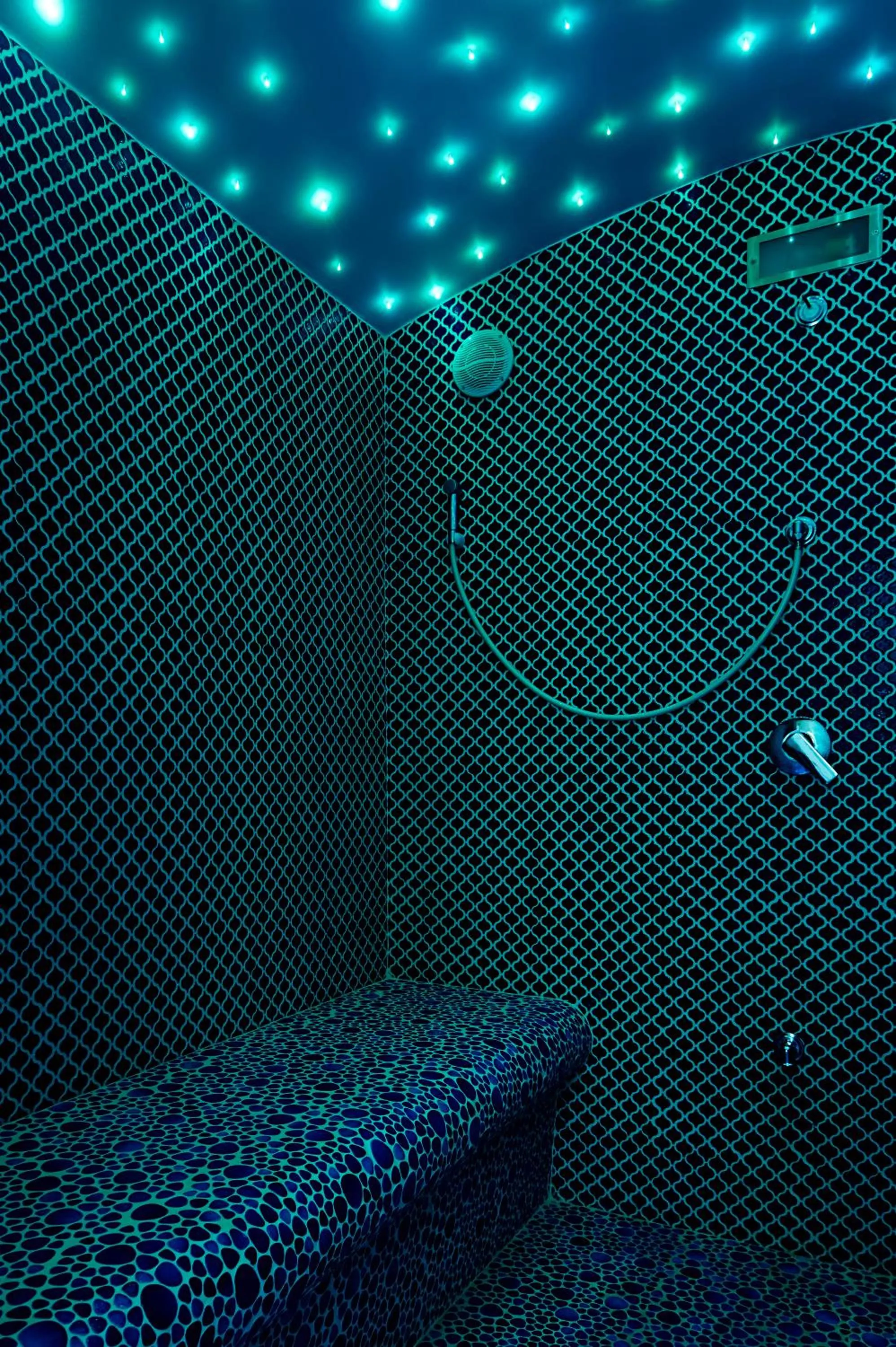 Steam room in Aleksandr