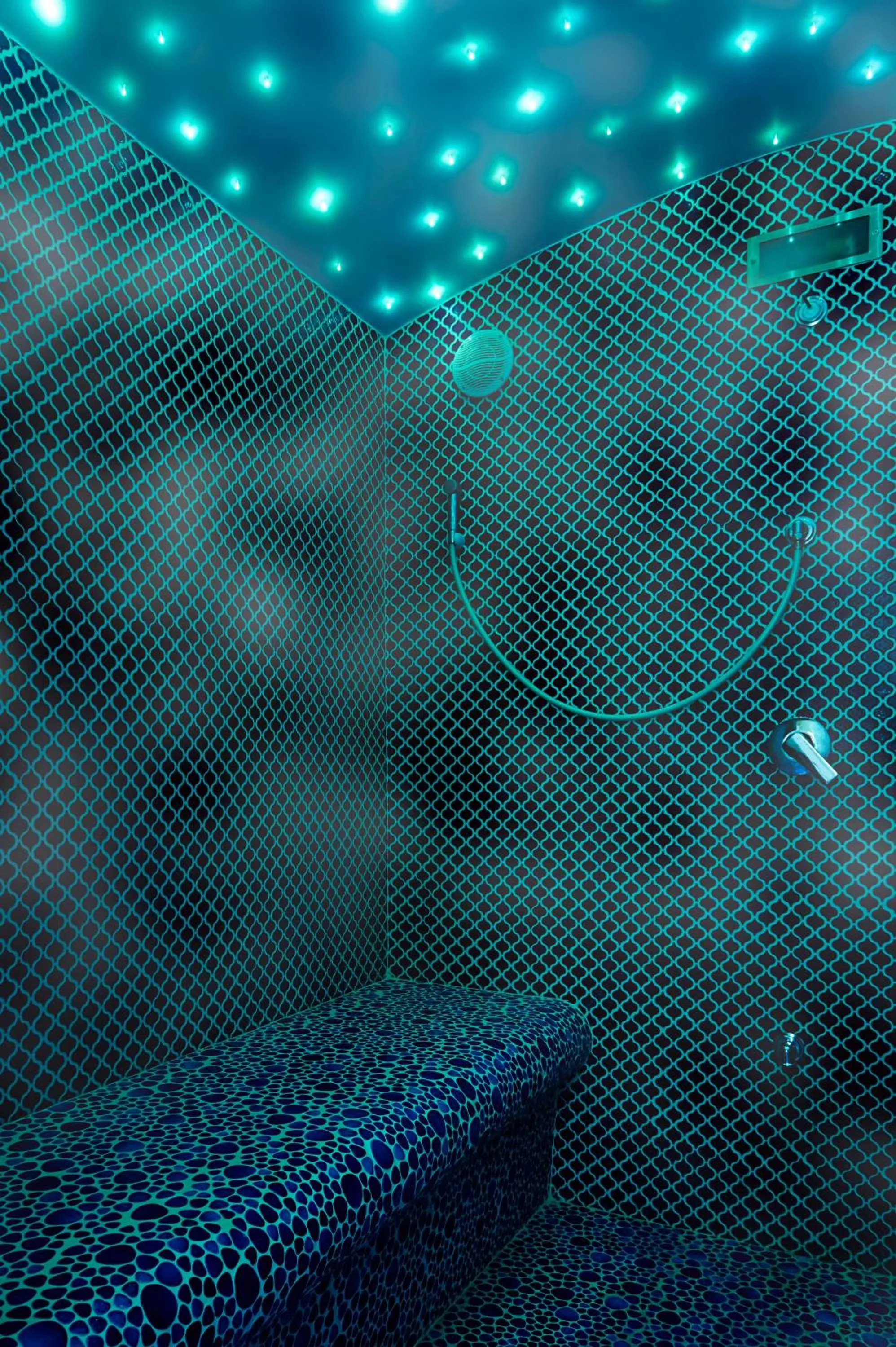 Steam room in Aleksandr