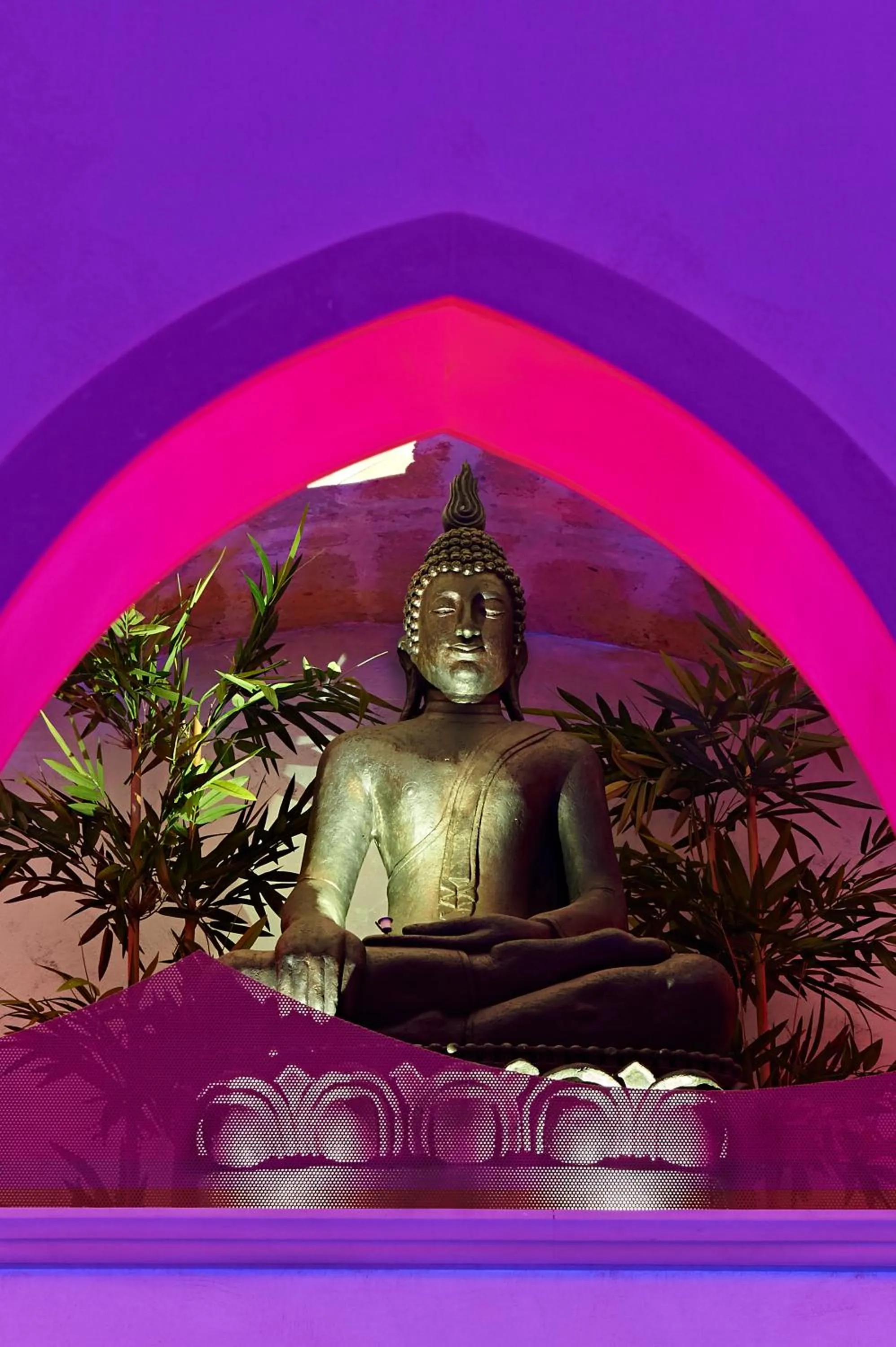 Spa and wellness centre/facilities in Aleksandr