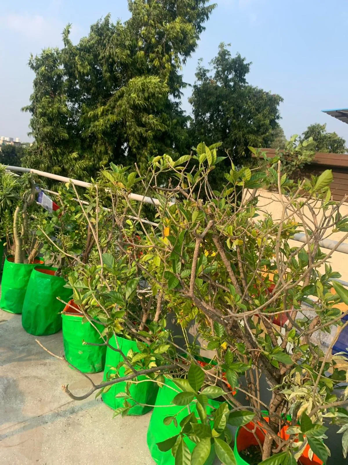 Bed & Chai Guesthouse