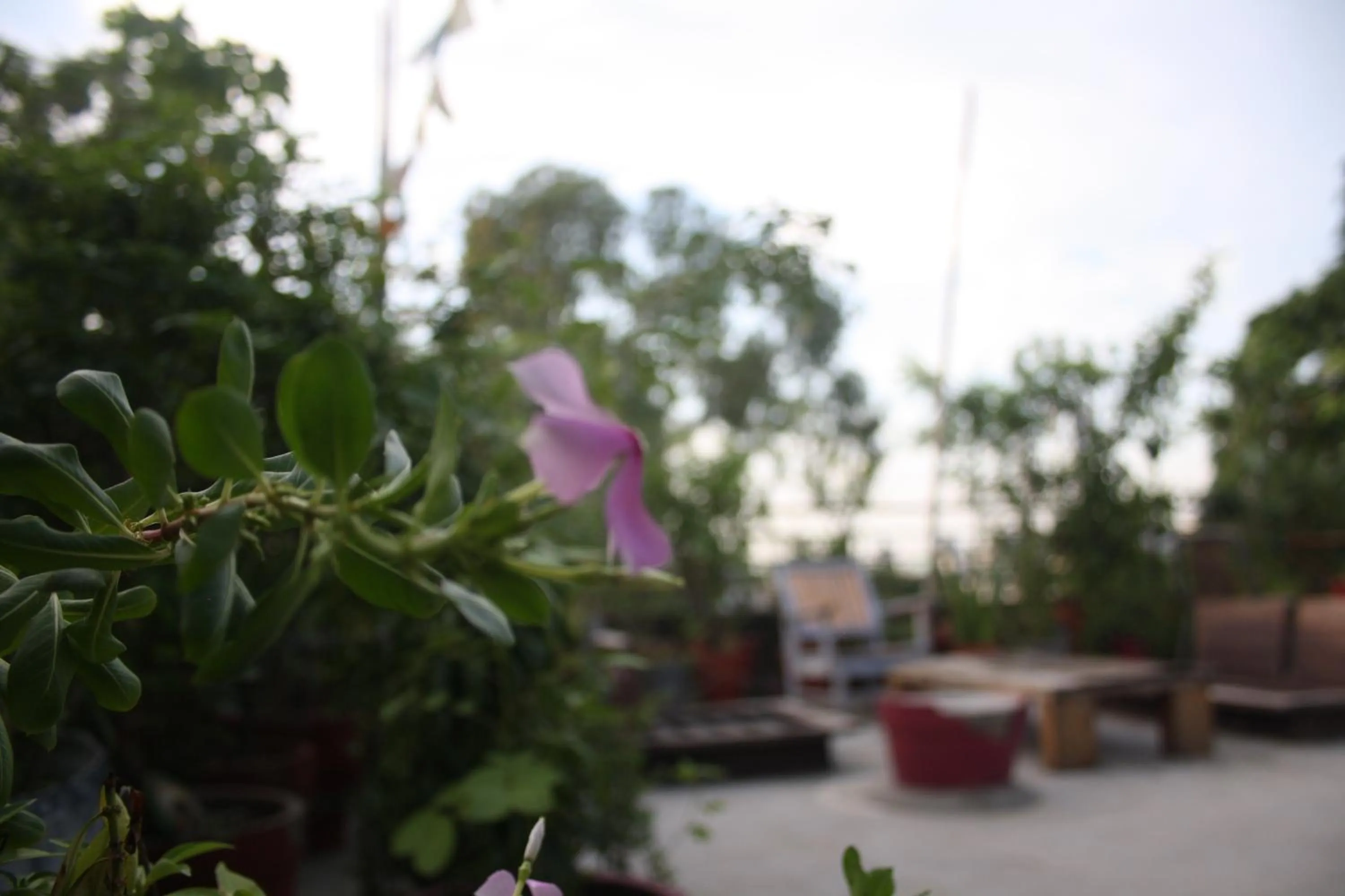 Balcony/Terrace in Bed & Chai Guesthouse