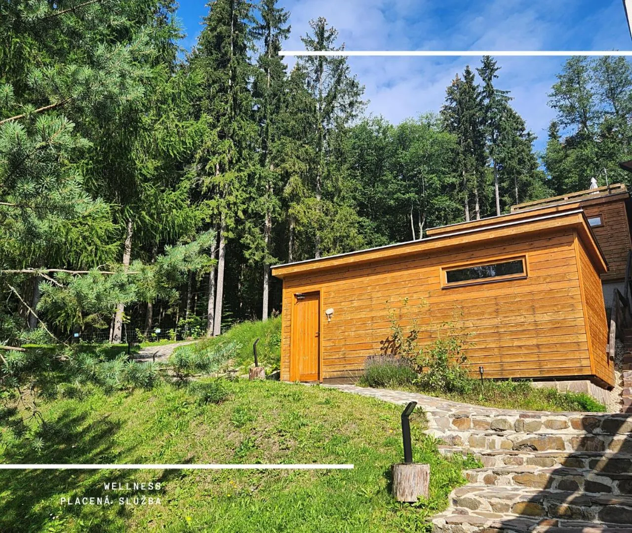 Spa and wellness centre/facilities in Hotel Kamzík ***