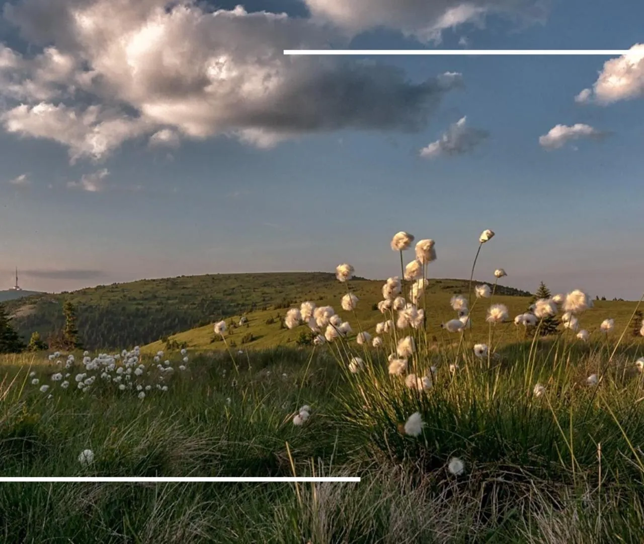 Natural landscape in Hotel Kamzík ***