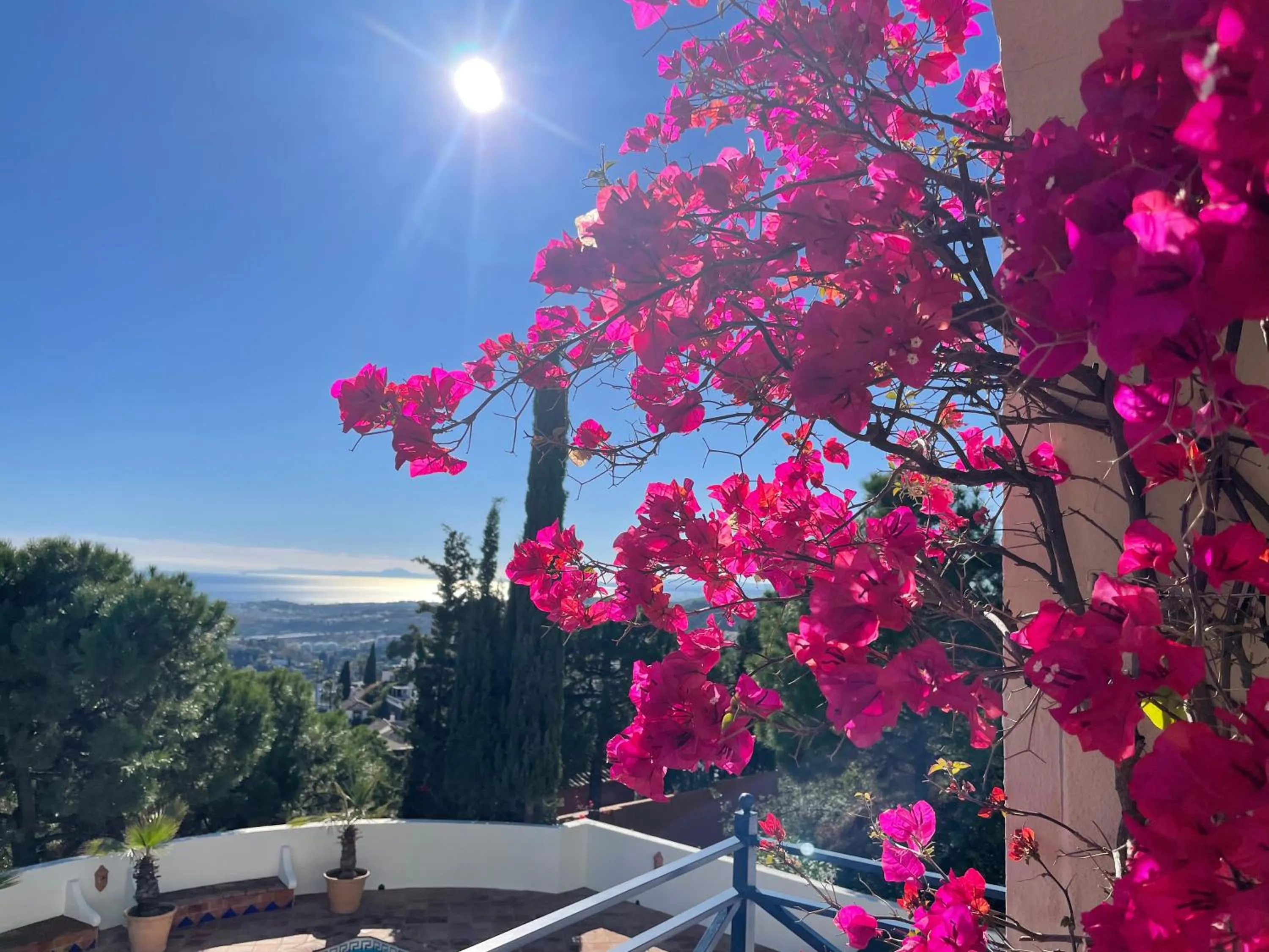 View (from property/room) in Boutique Hotel Maravilla - Marbella