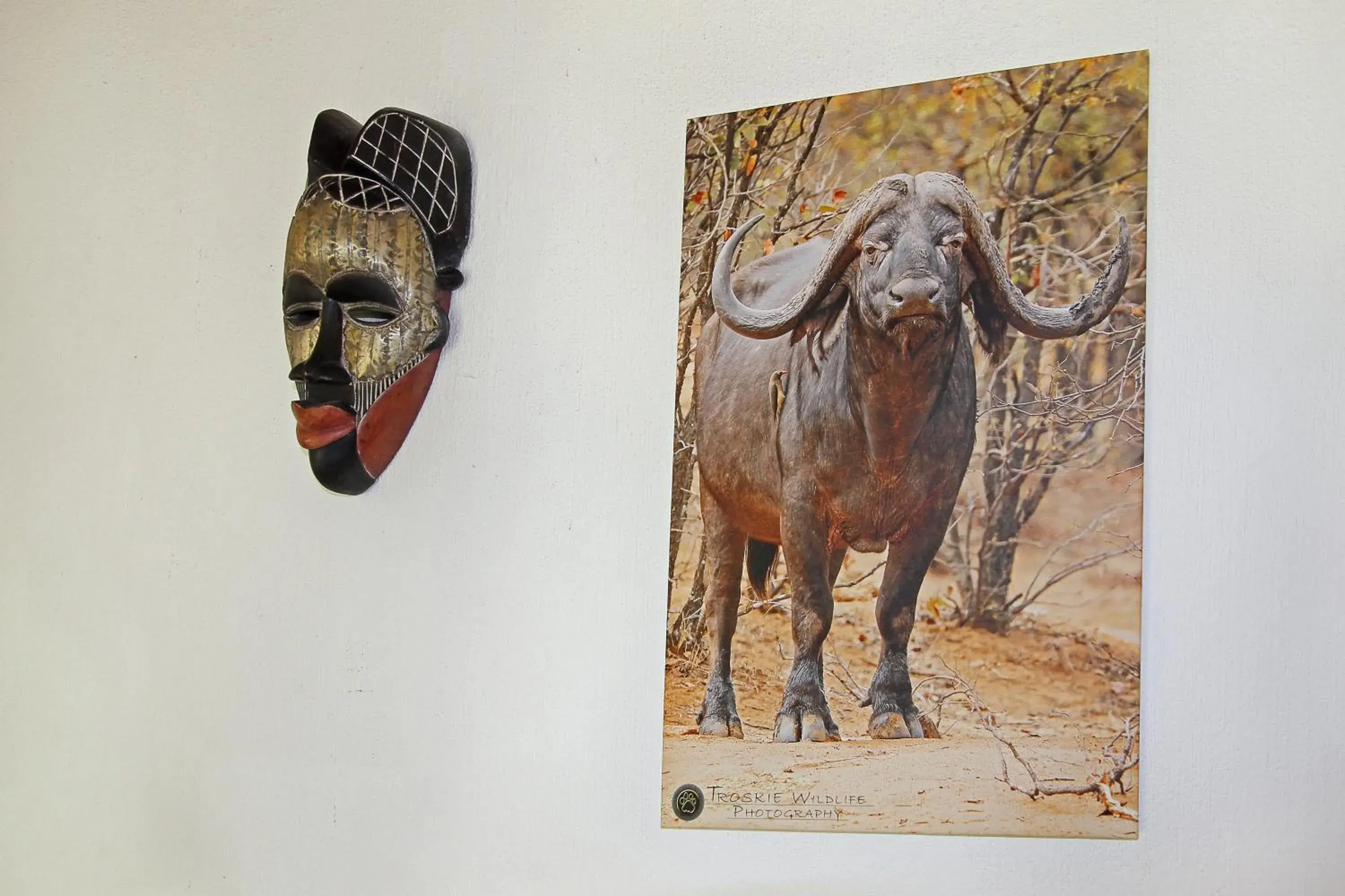 Twin Chalet - single occupancy - Buffalo in Normann Safari Bush Lodge Twin Chalet - single occupancy - Buffalo in Normann Safari Bush Lodge