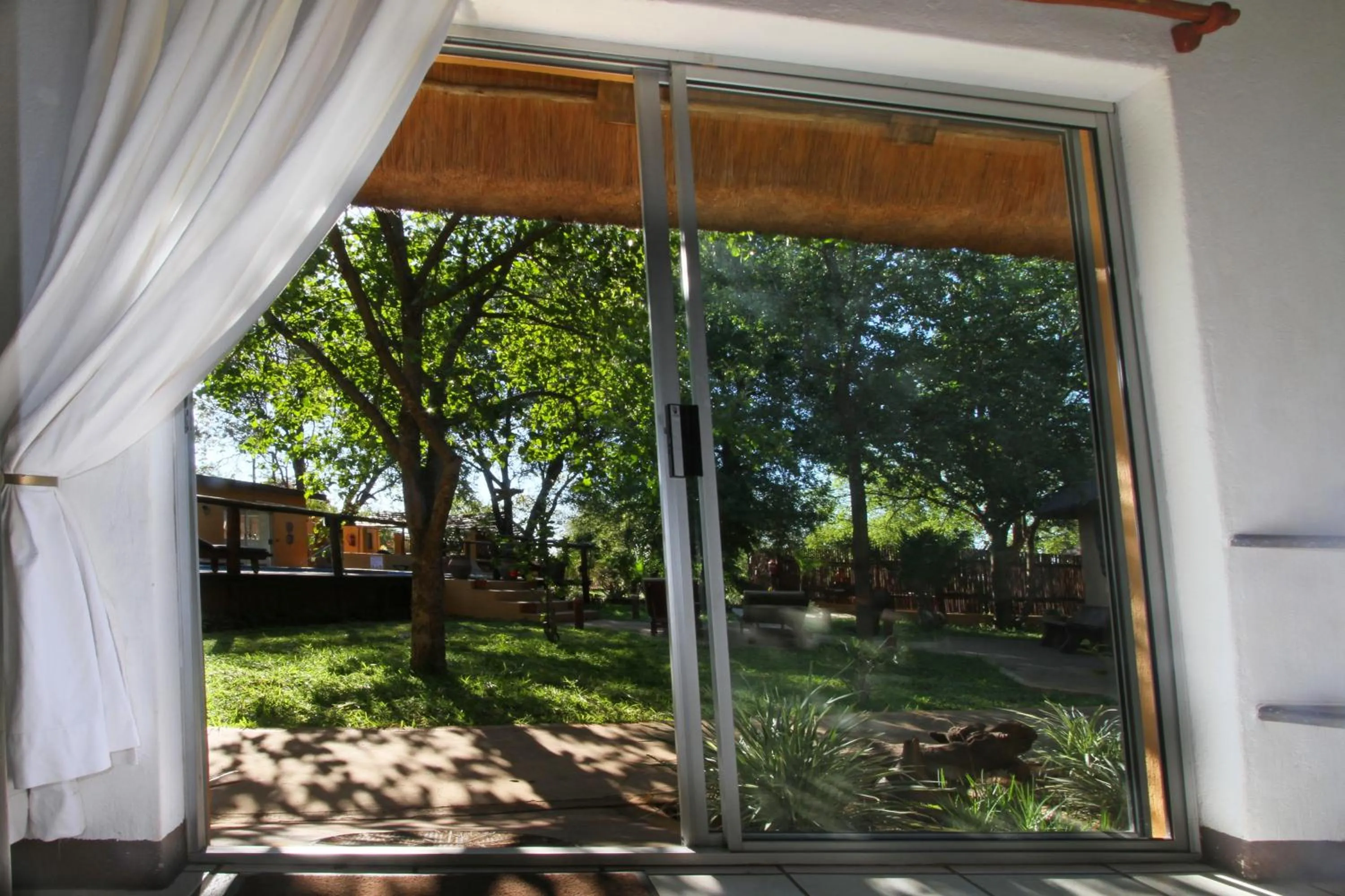 Garden view in Normann Safari Bush Lodge