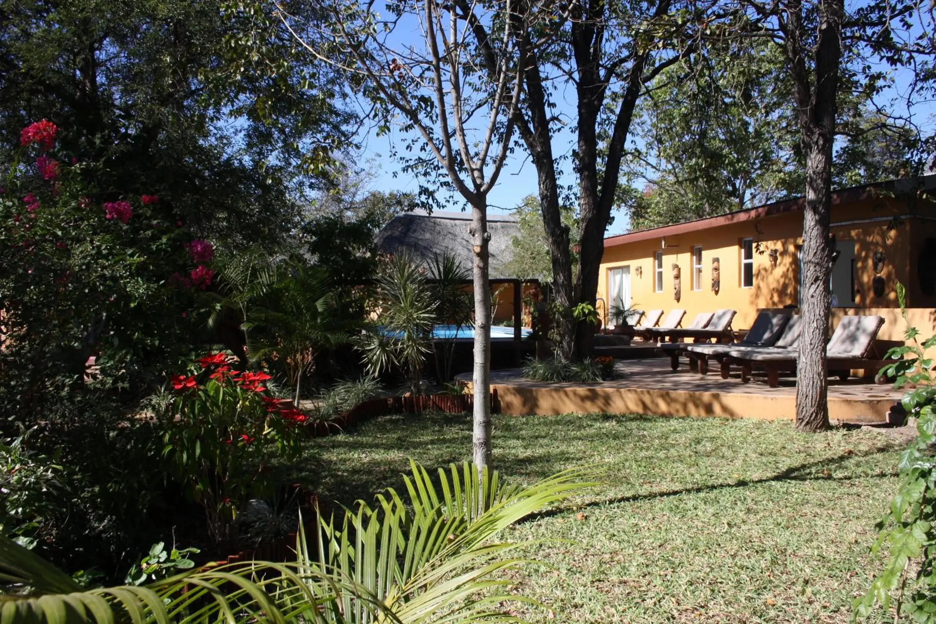 Twin Room - single occupancy - Leopard in Normann Safari Bush Lodge Twin Room - single occupancy - Leopard in Normann Safari Bush Lodge
