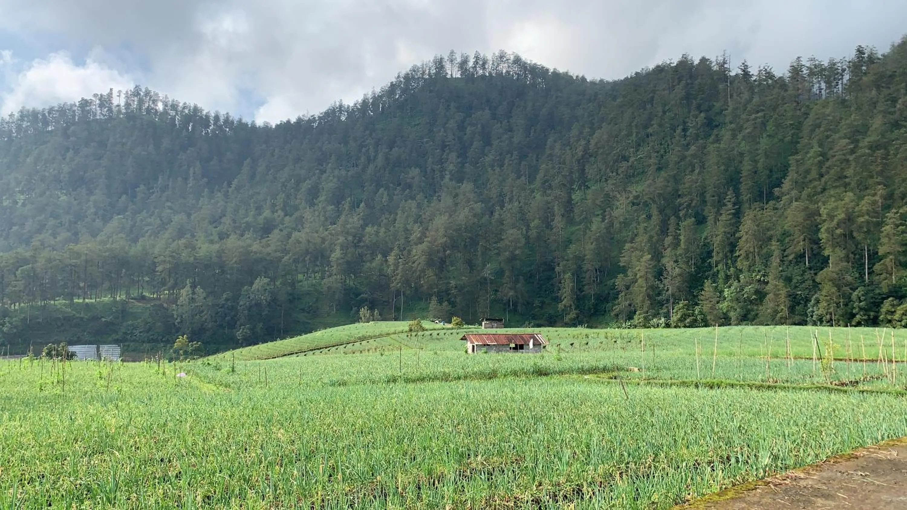 Villa Matahari Tawangmangu powered by Cocotel