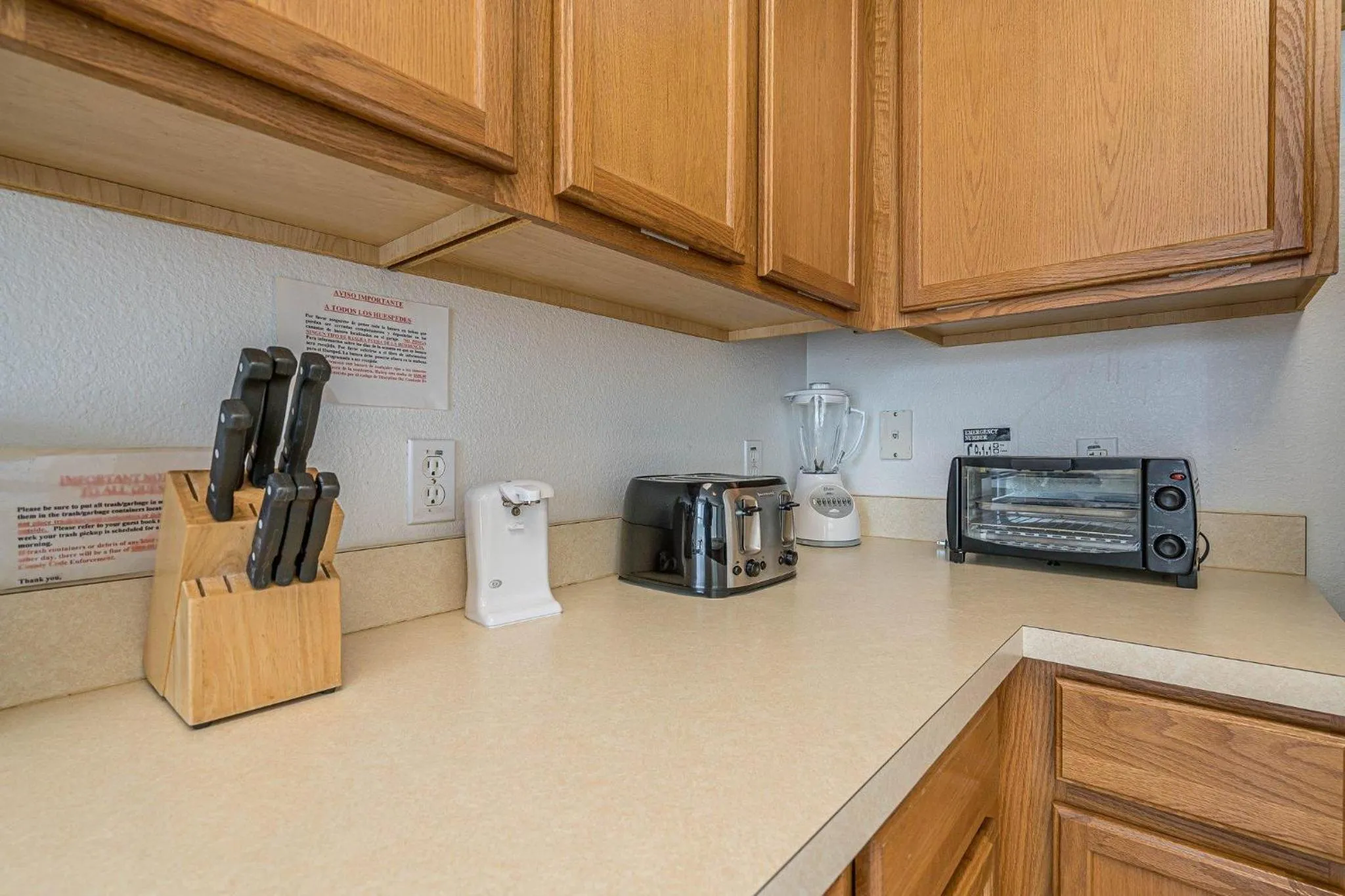 Mickey's Holiday Home