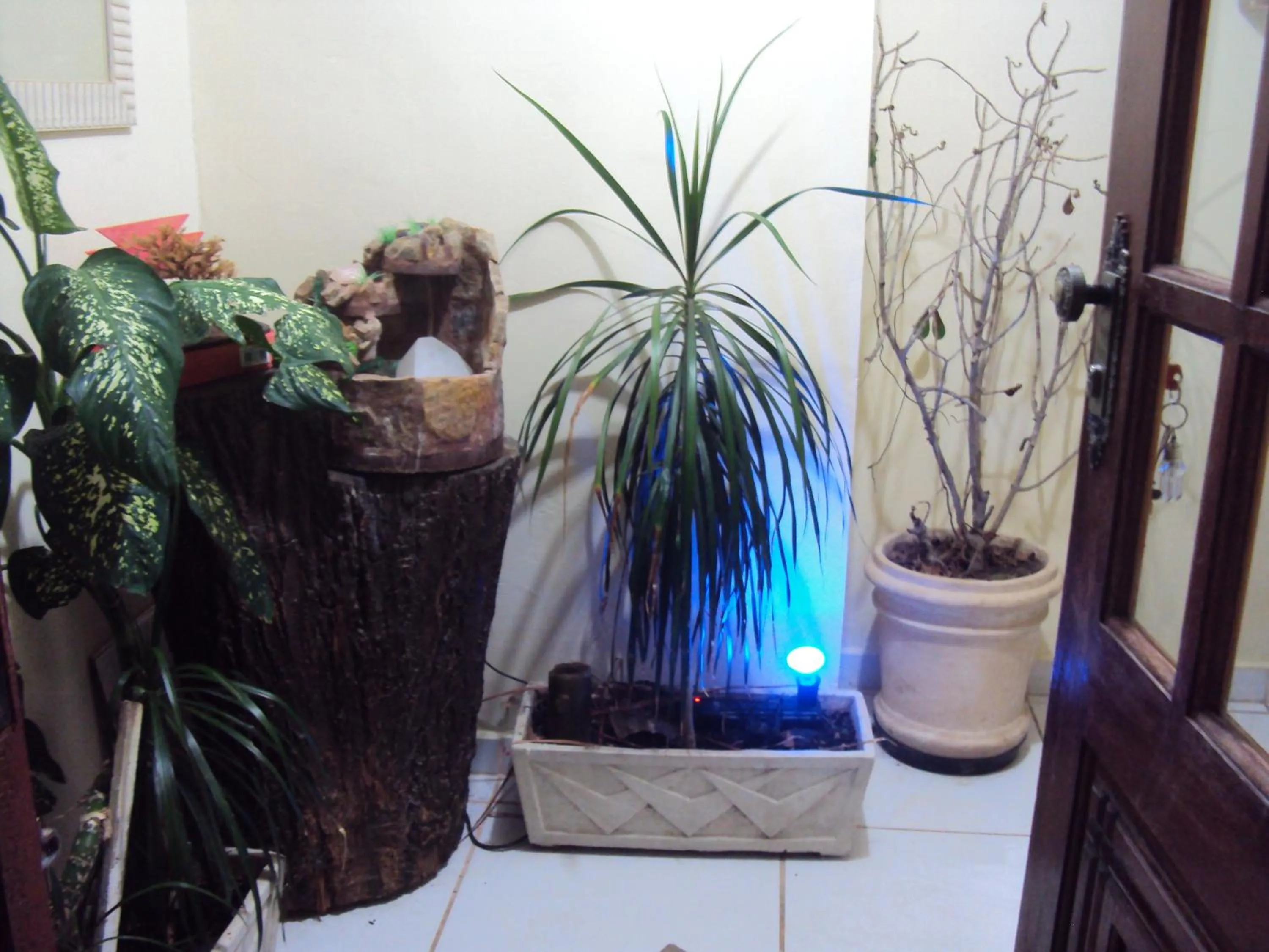 Other in Mirante Bela Vista