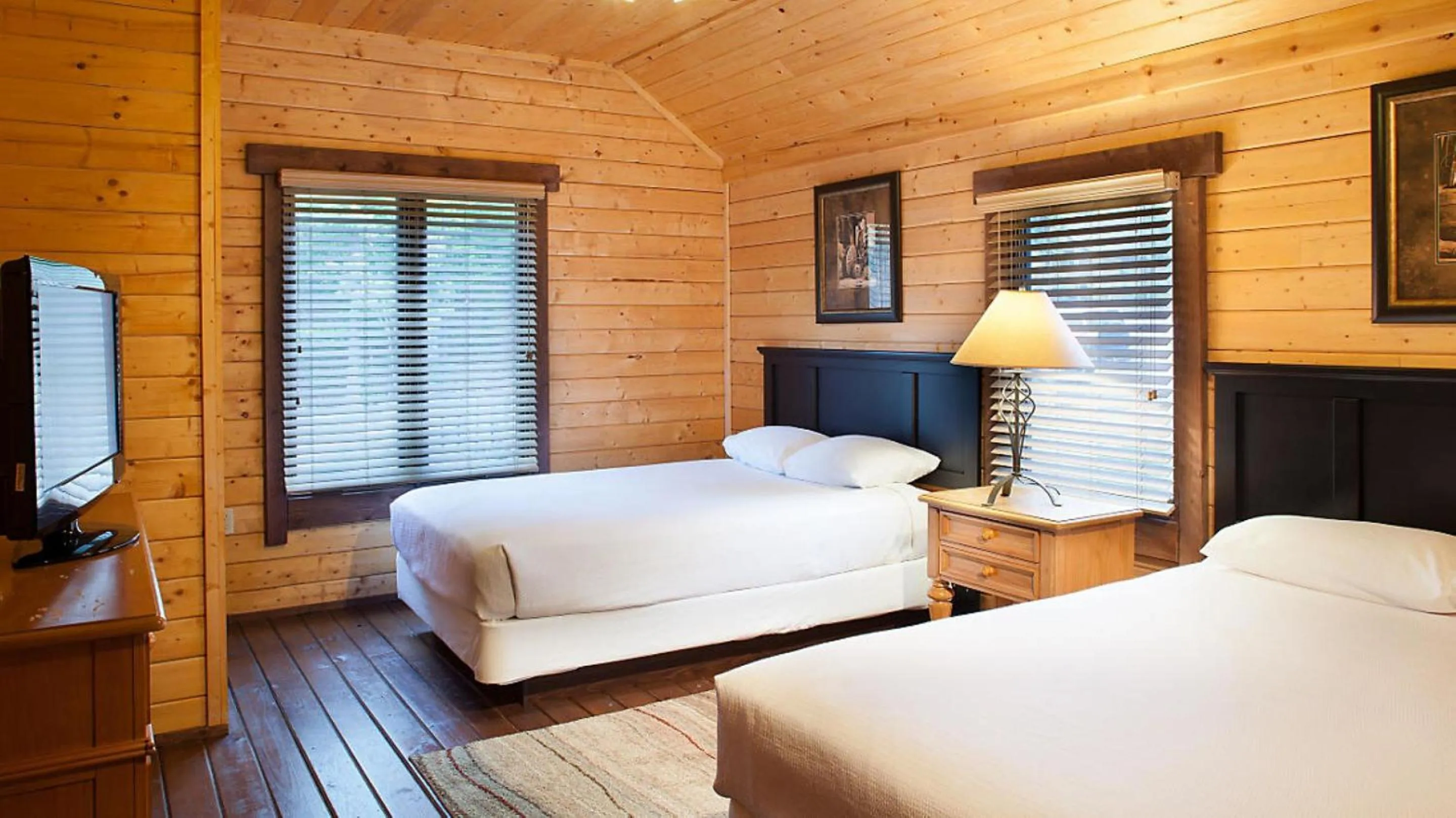 Bed in Shenandoah Wilderness Traveler