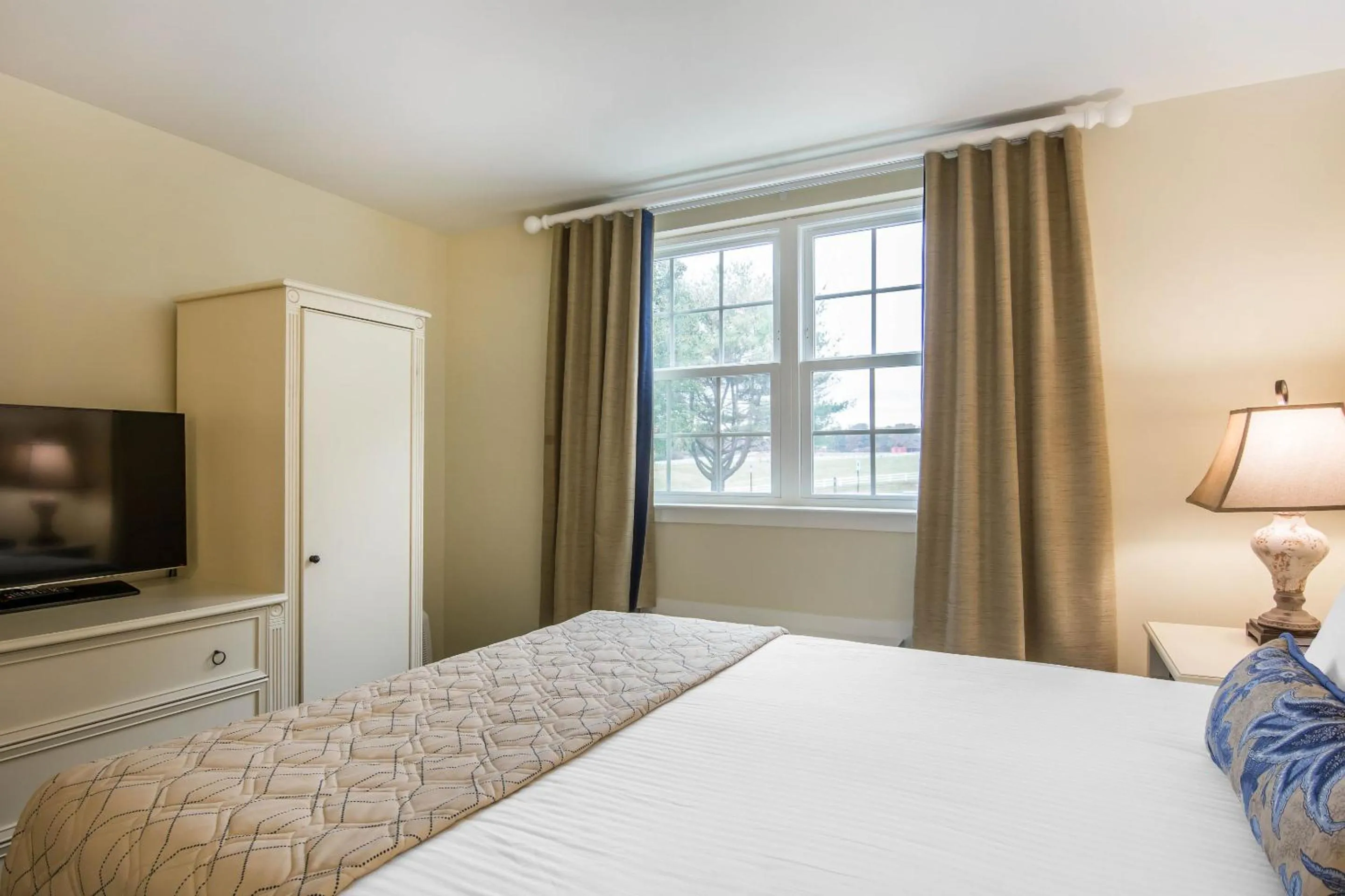 Bed in Shenandoah Wilderness Traveler