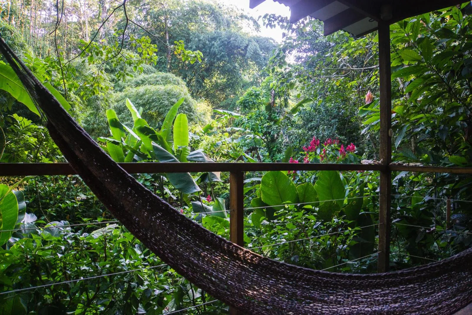 El Tucan Jungle Lodge