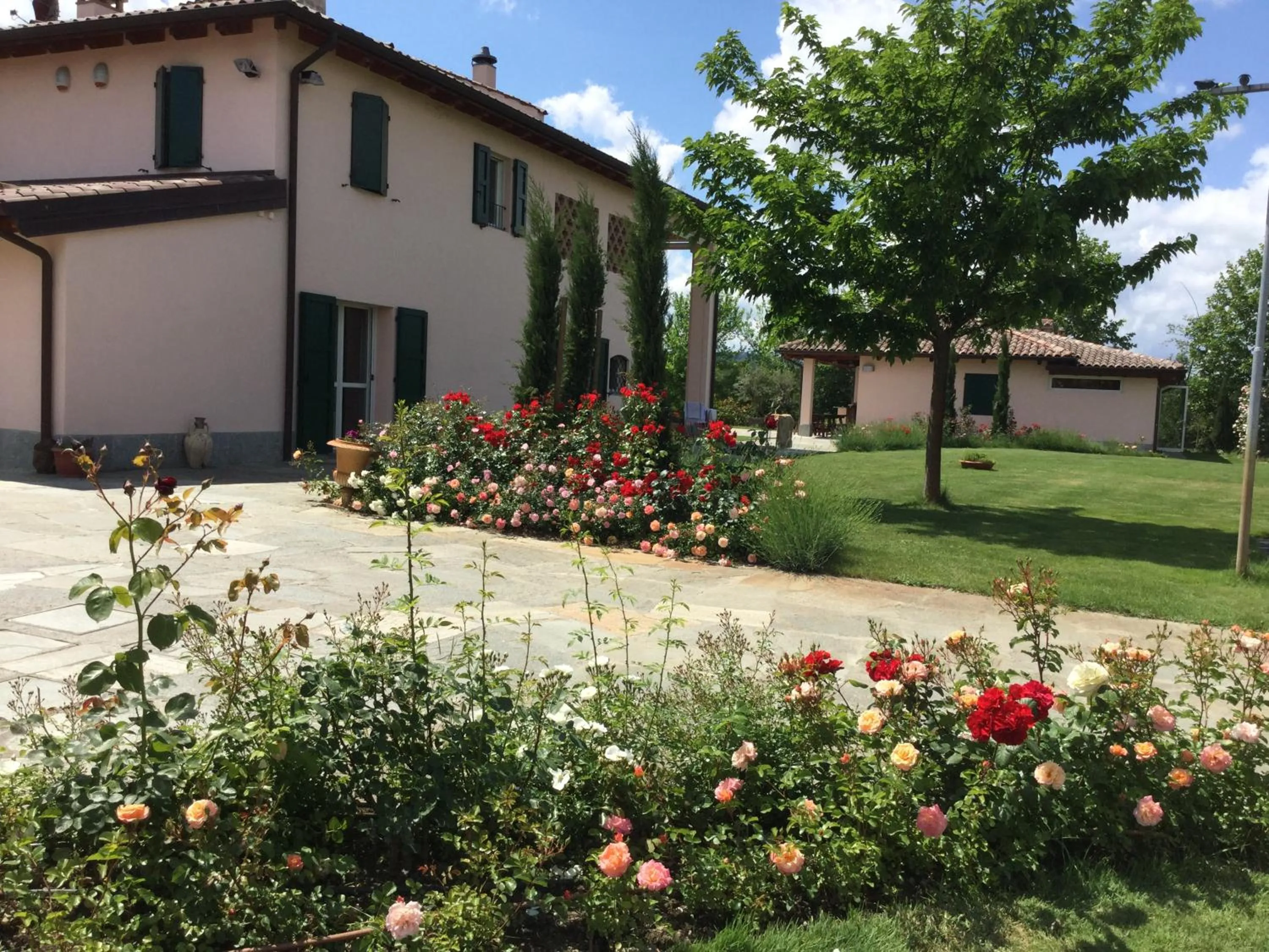 B&B RED WINE COUNTRY HOUSE