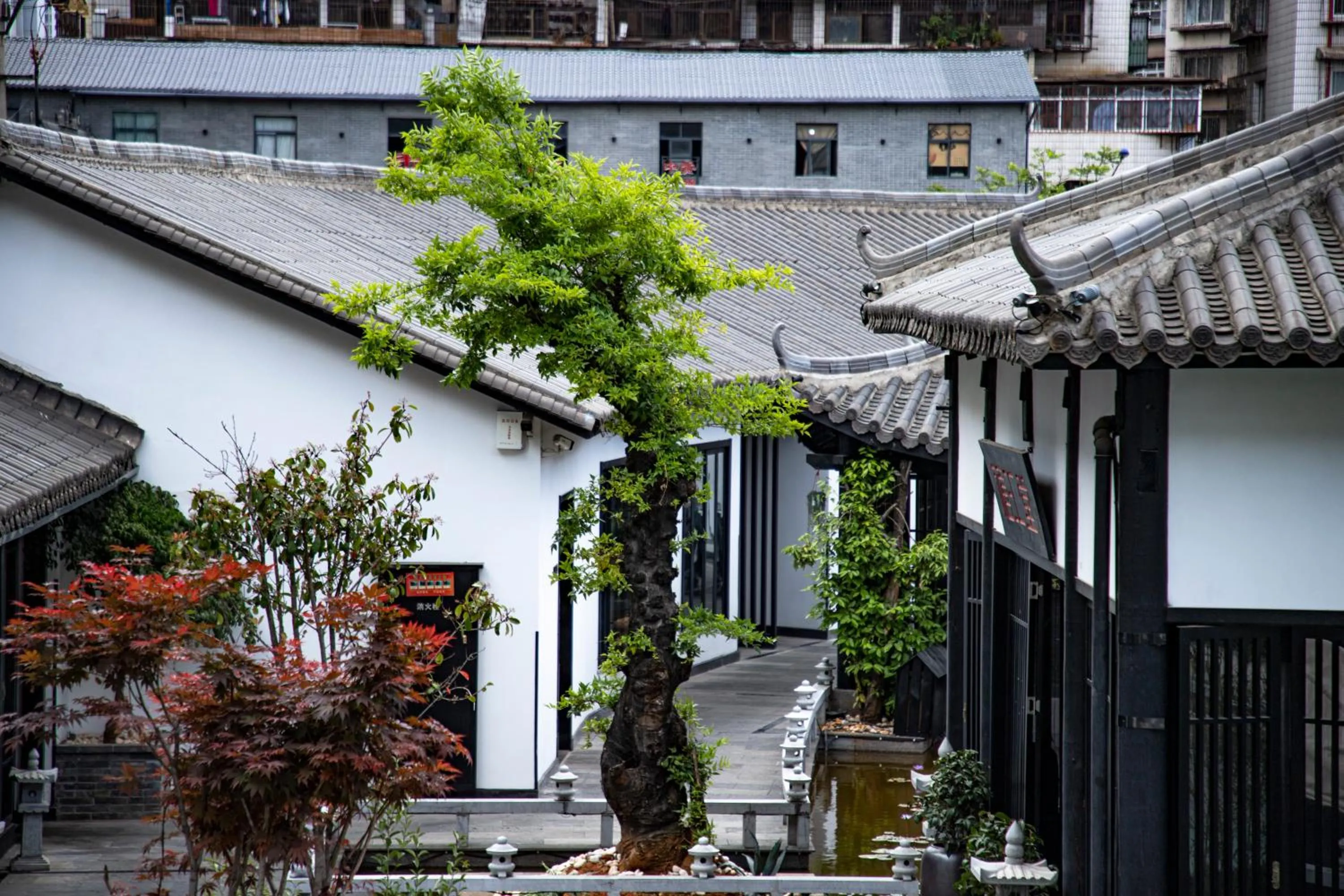 View (from property/room) in Gongxili-Xijian Hotel - Kunming Dongfeng East Road Dashuying Metro Station