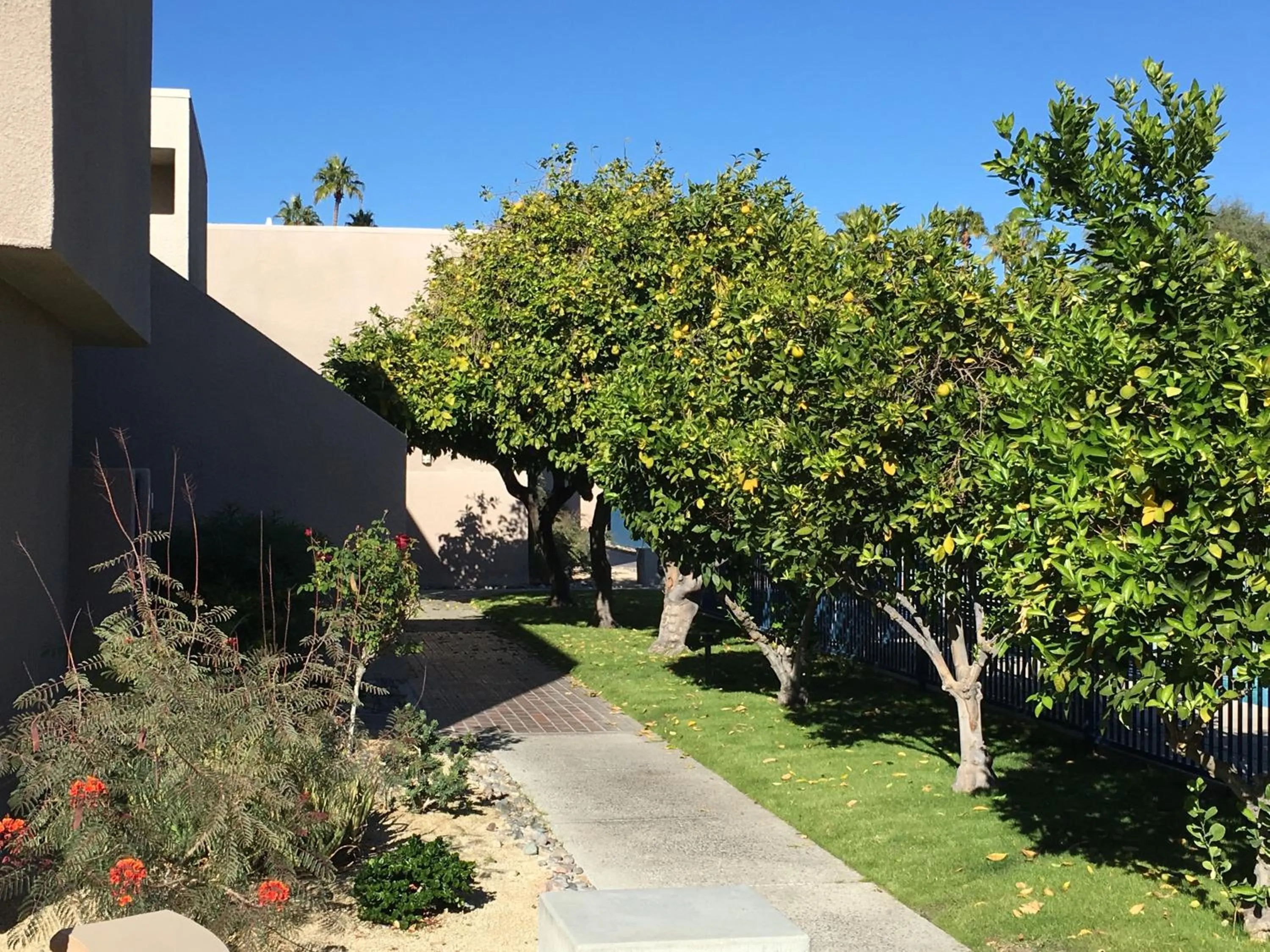 Garden in GetAways at Vista Mirage Resort