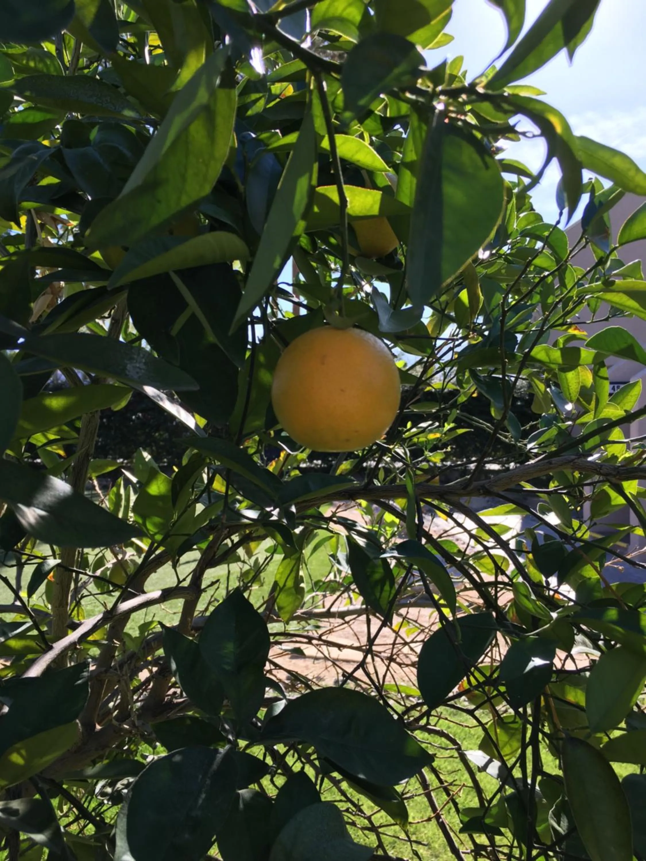 GetAways at Vista Mirage Resort