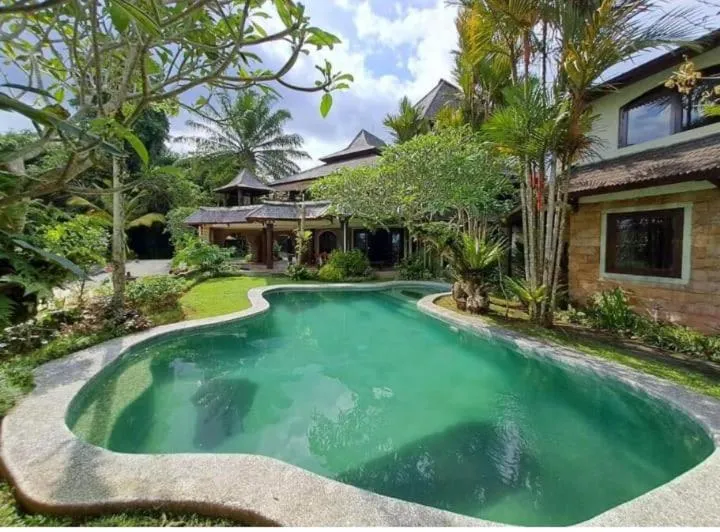 View (from property/room) in Dzawani Ubud