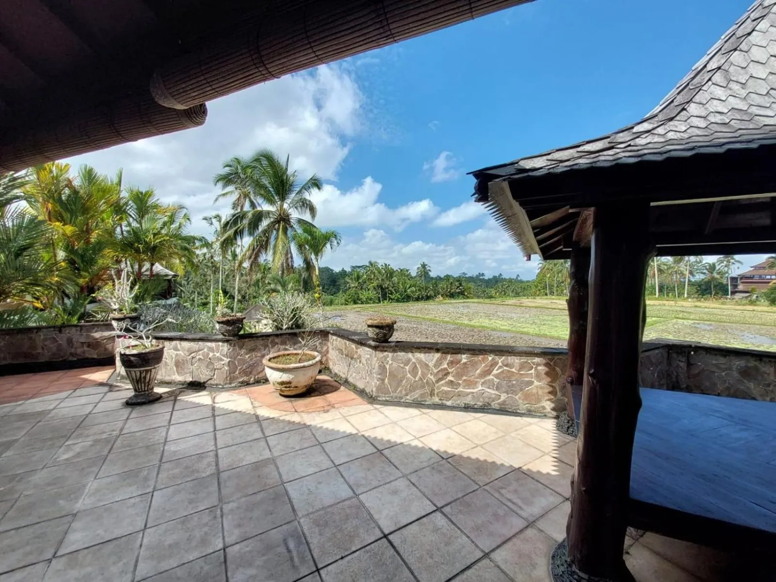 View (from property/room) in Dzawani Ubud