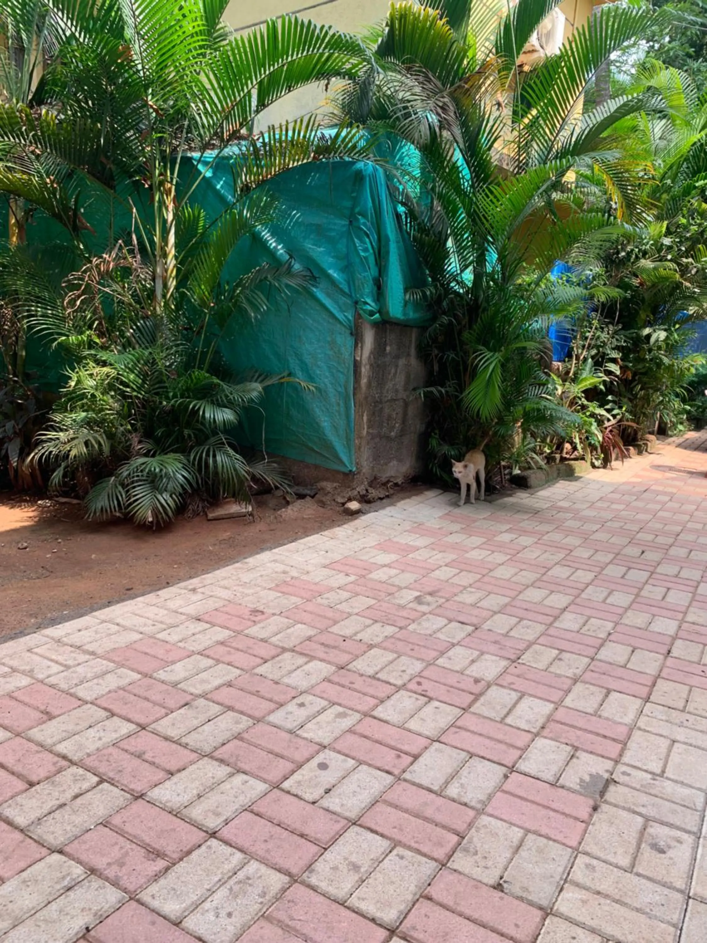 Garden in Casa De Calangute Hotel