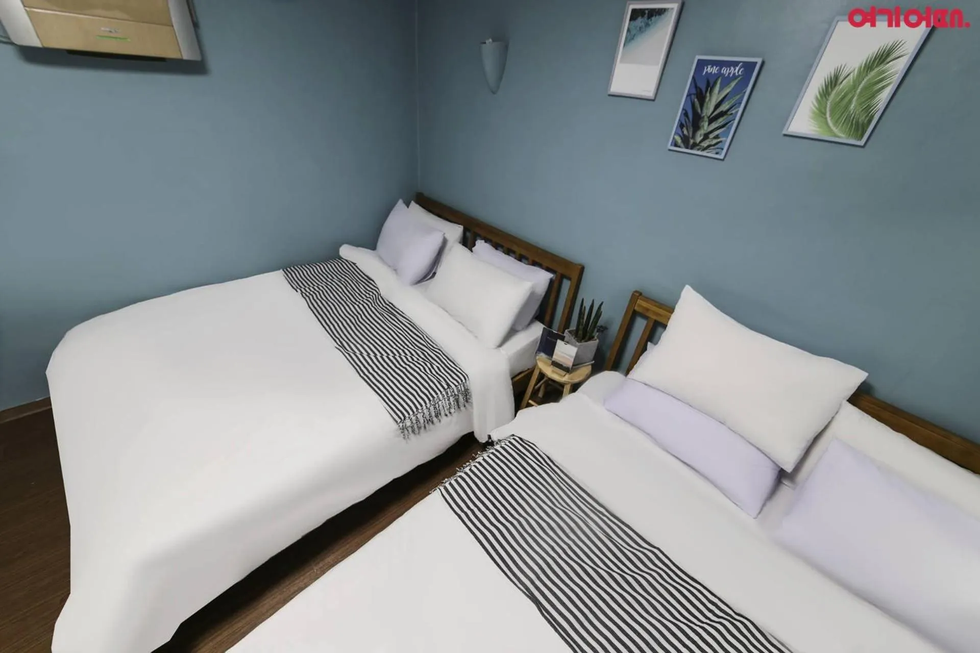 Bed in Sinchon Sisters Hostel