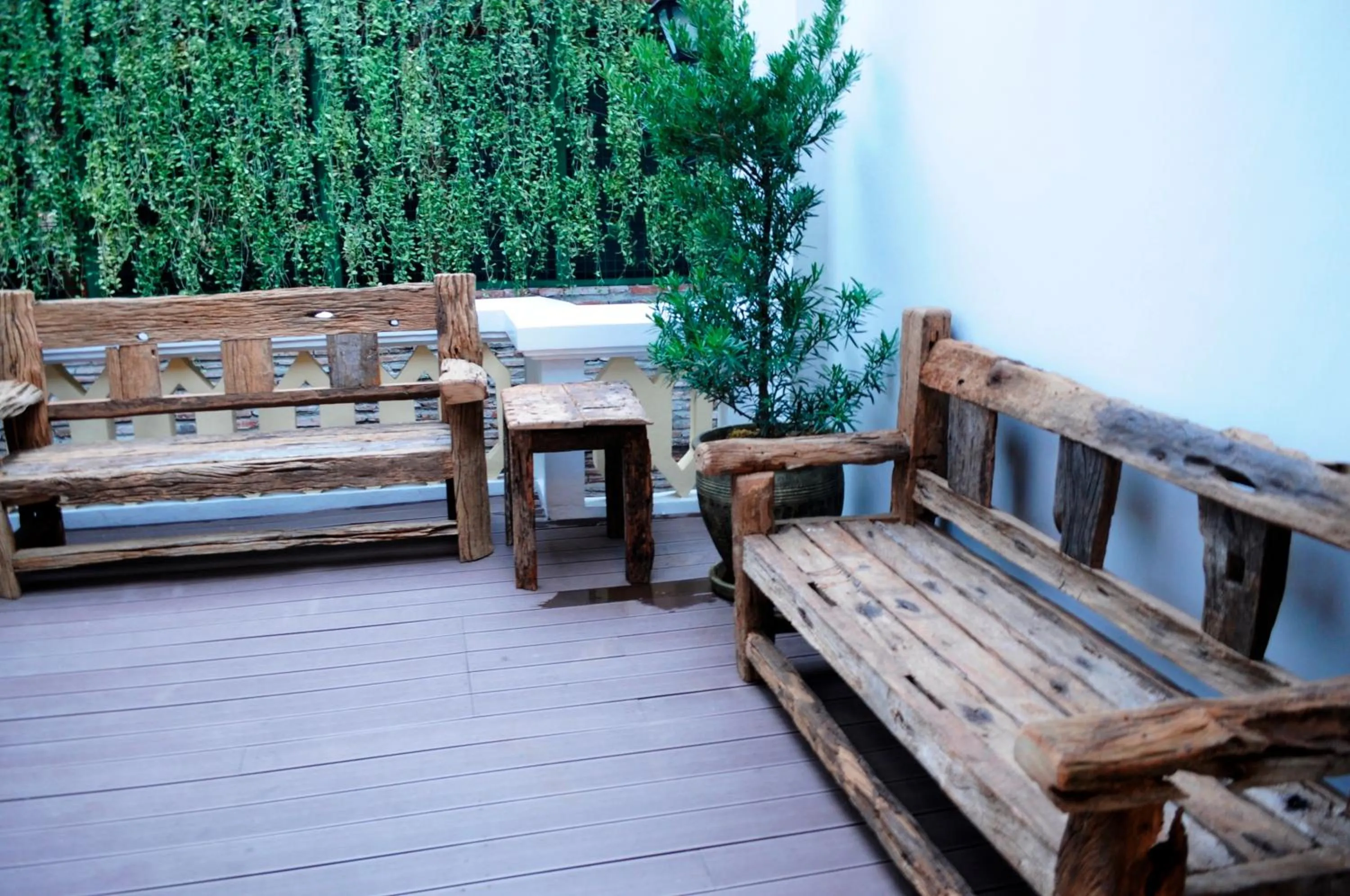 Garden in Hotel Veneto De Vigan