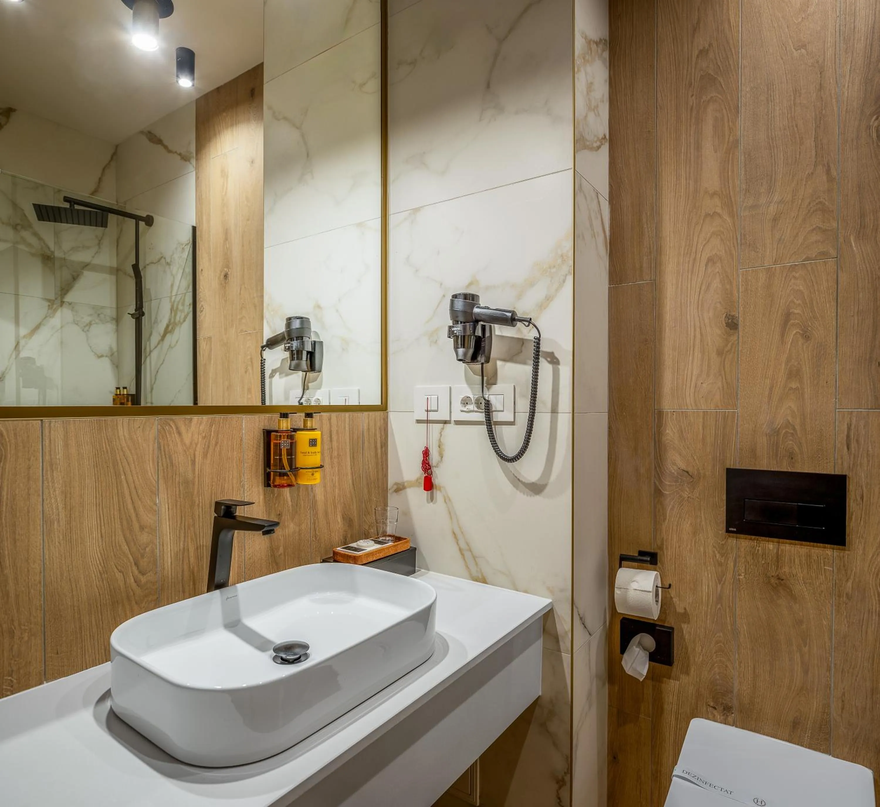 Bathroom in Hotel Branco Timisoara