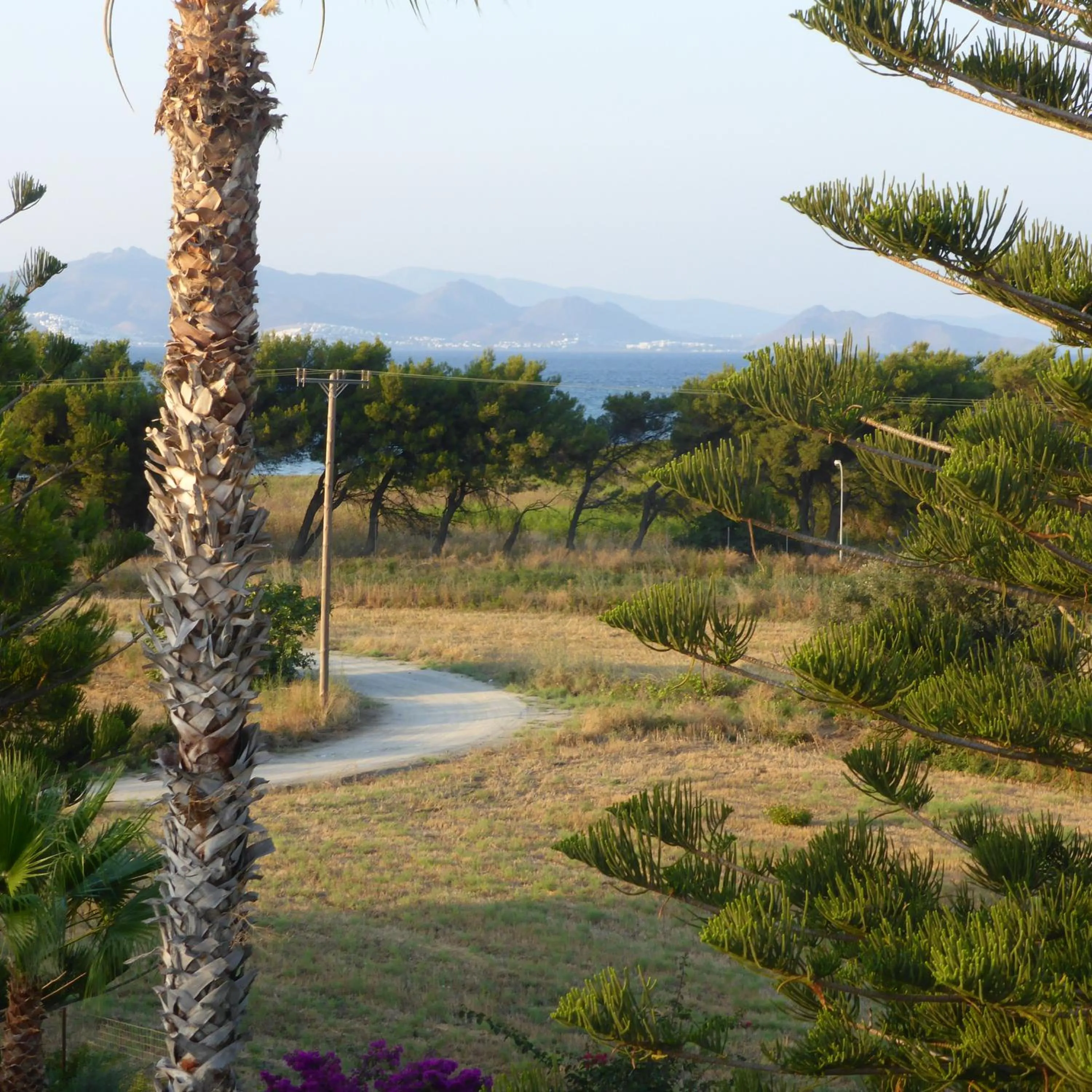 Sea view in Blue Nest Hotel