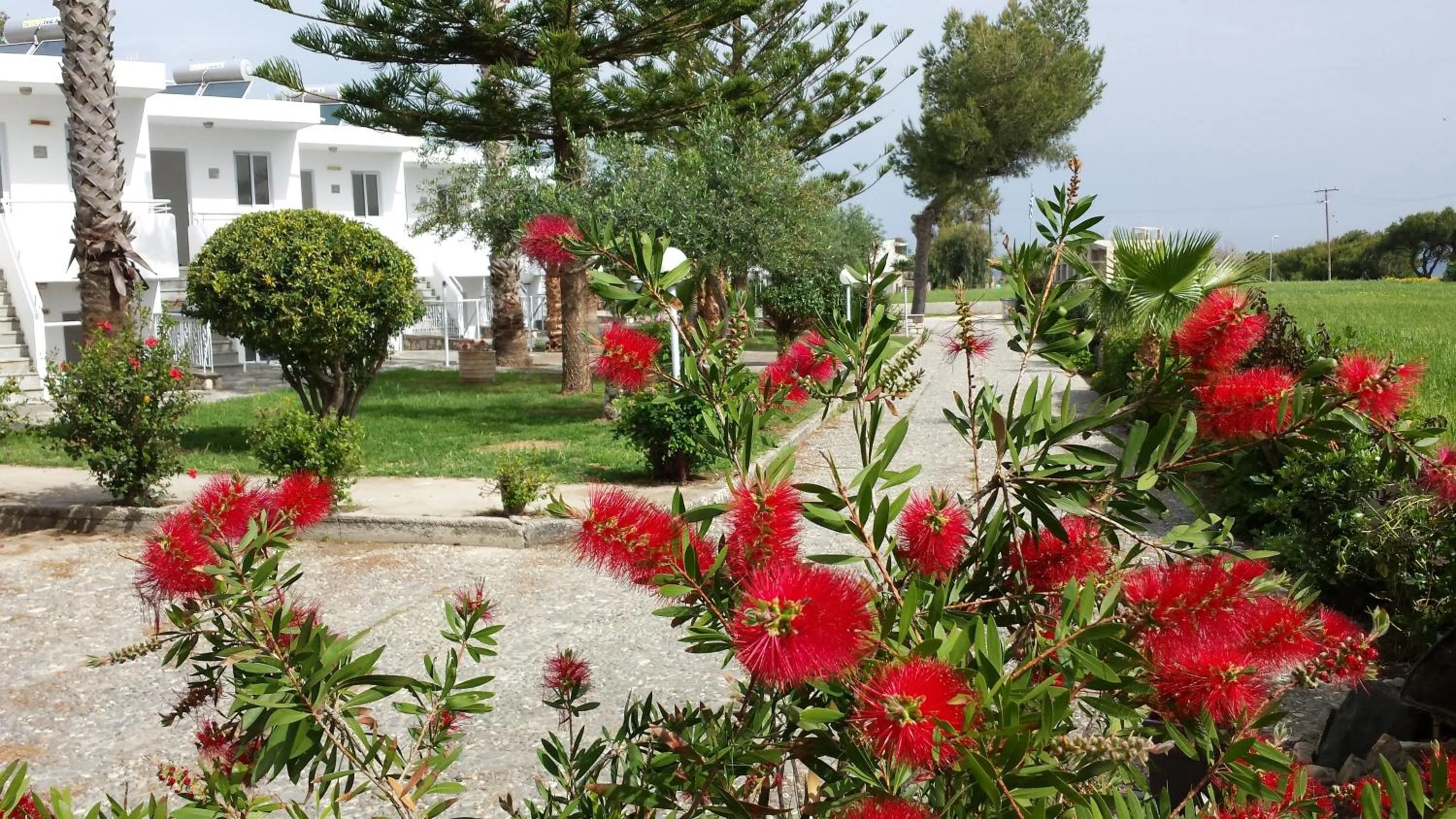 Facade/entrance in Blue Nest Hotel