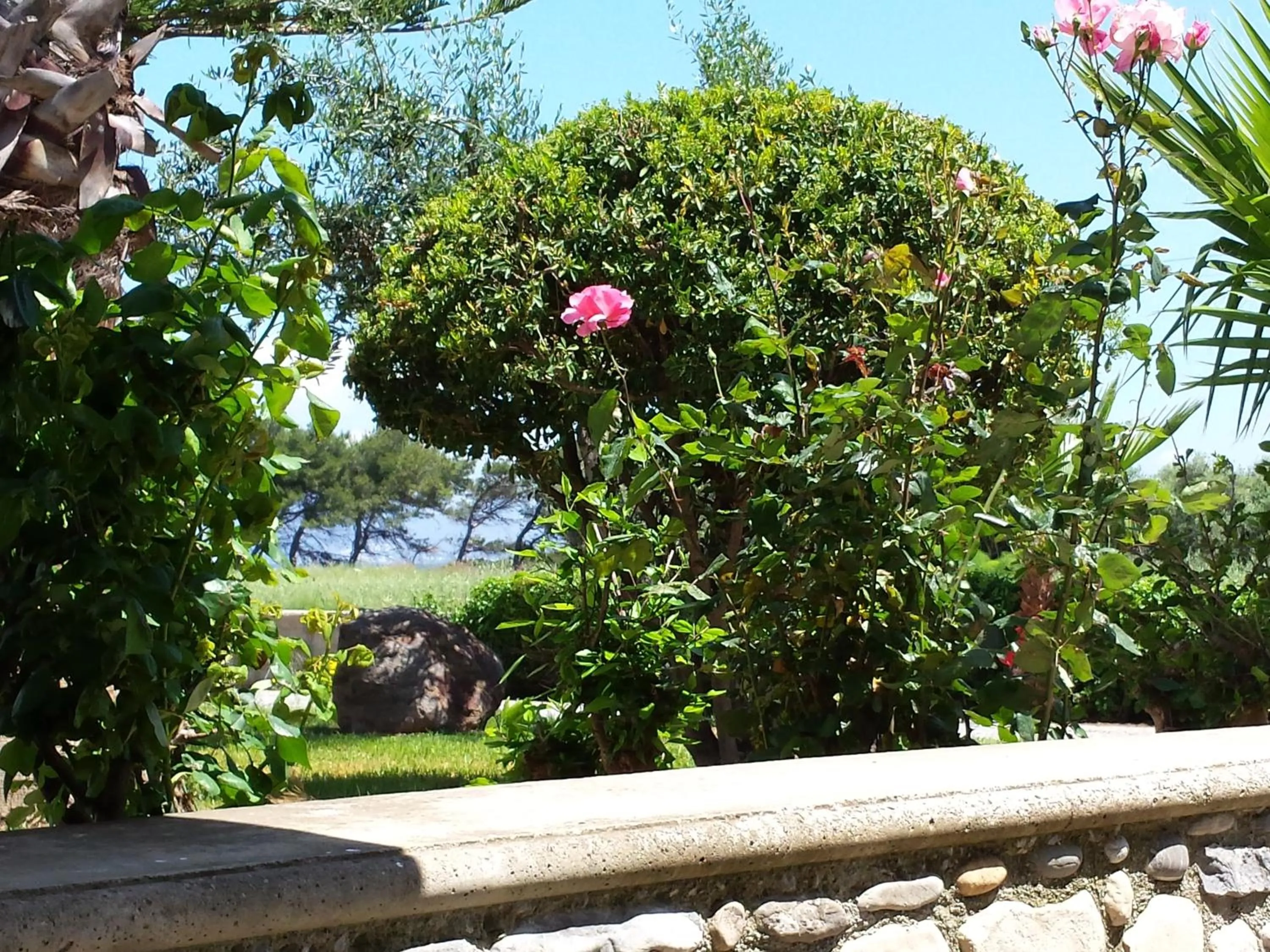 Facade/entrance in Blue Nest Hotel
