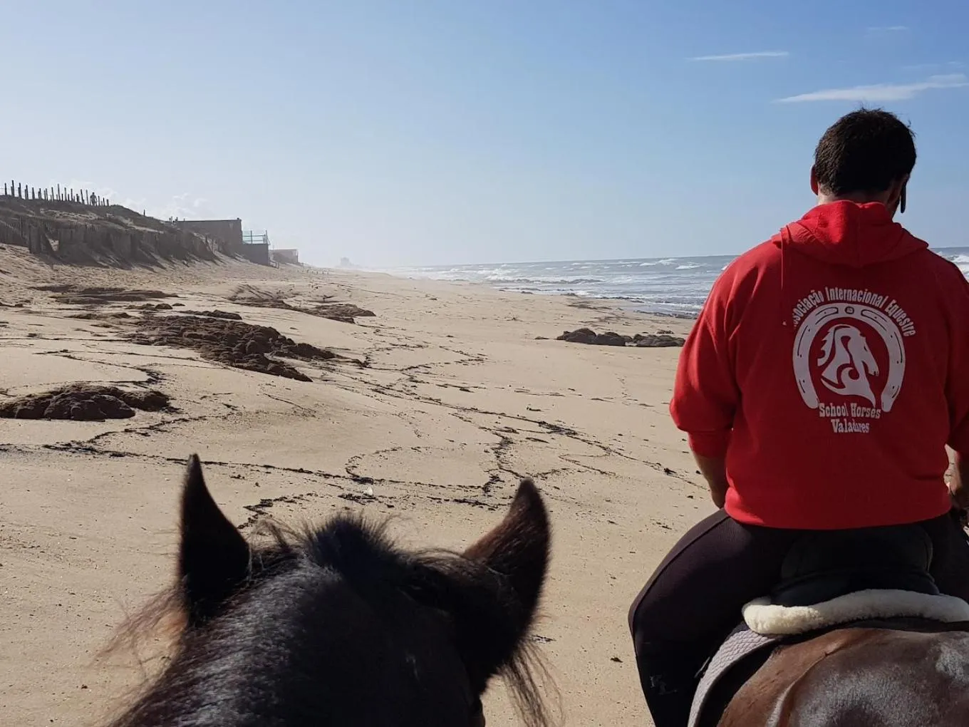 Horse-riding in Oporto, sea view and marina